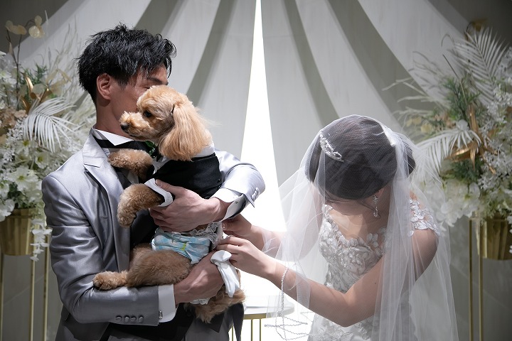 ペットと一緒にご結婚式??part②