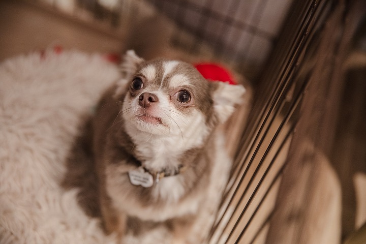 小さな結婚式福岡店　～ウェディングレポート④～