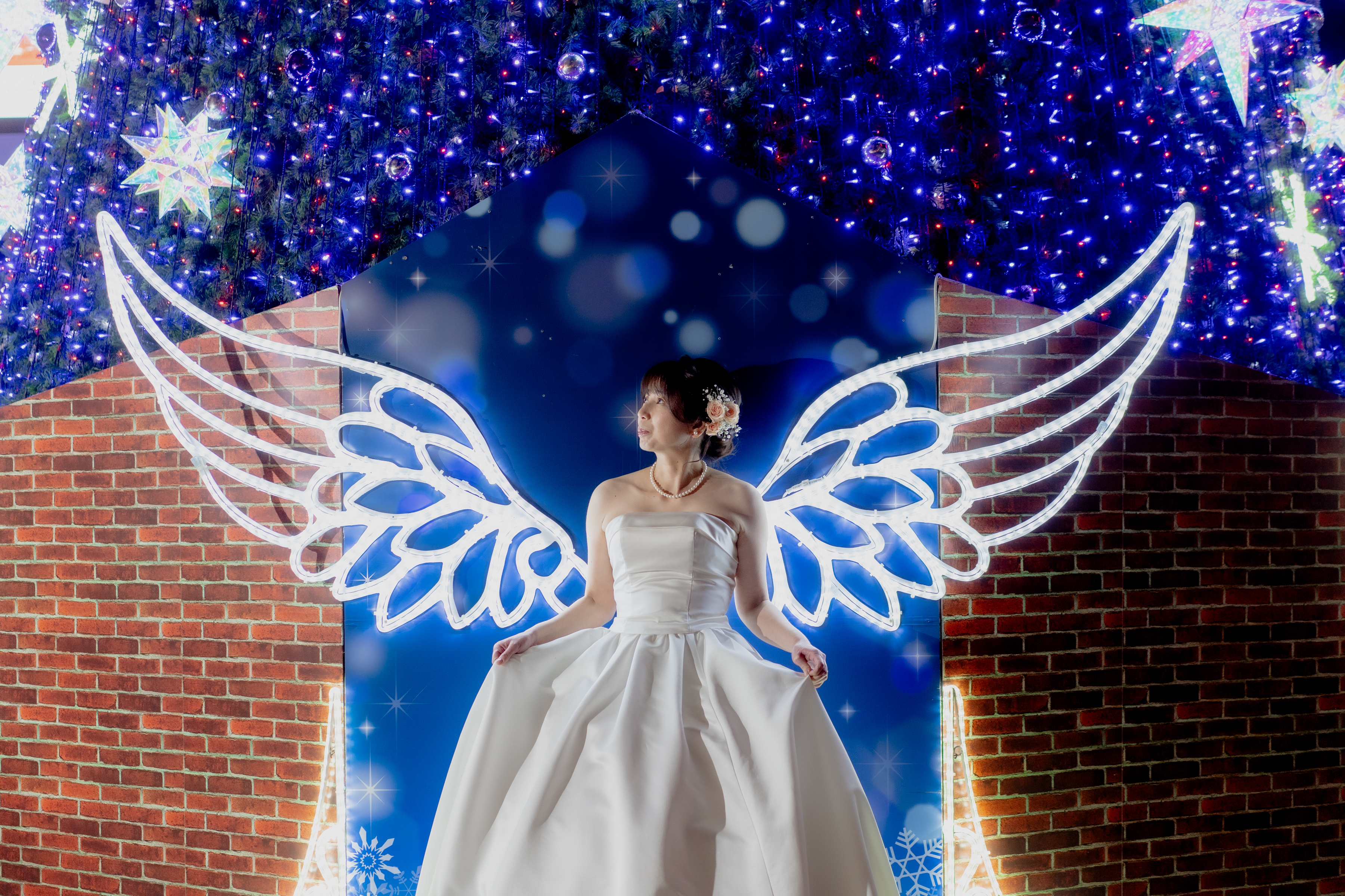 今年もこの季節です！～パセーライルミネーション～