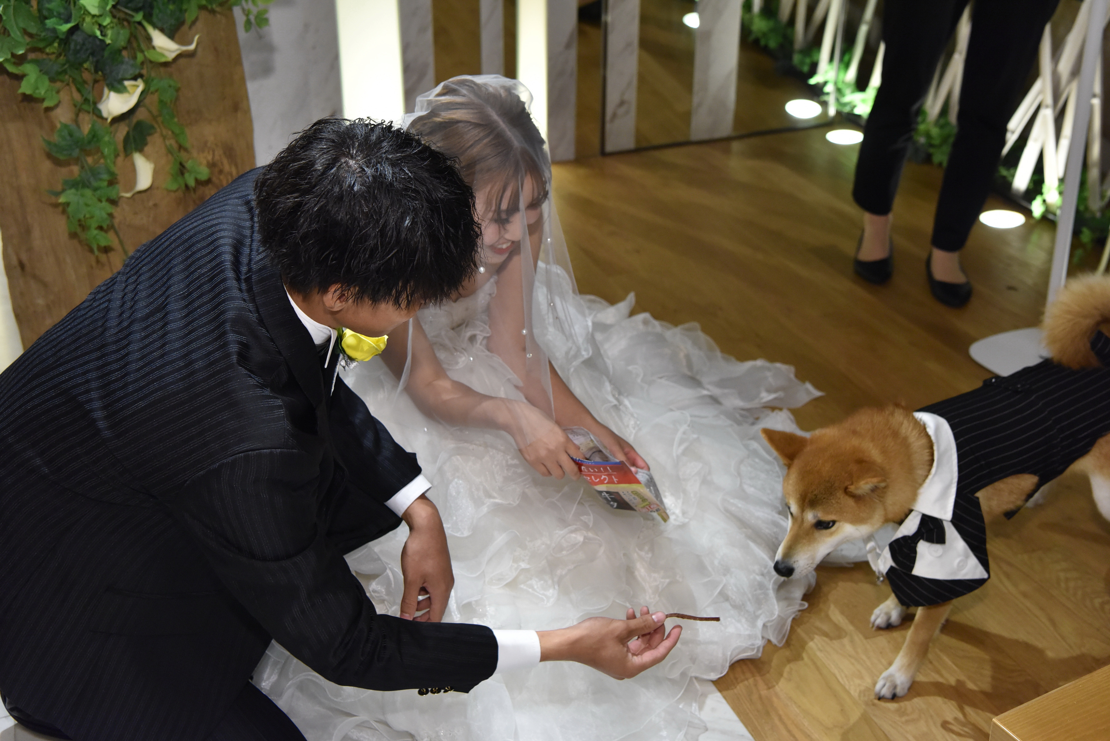 愛犬と行う結婚式Part1（挙式）