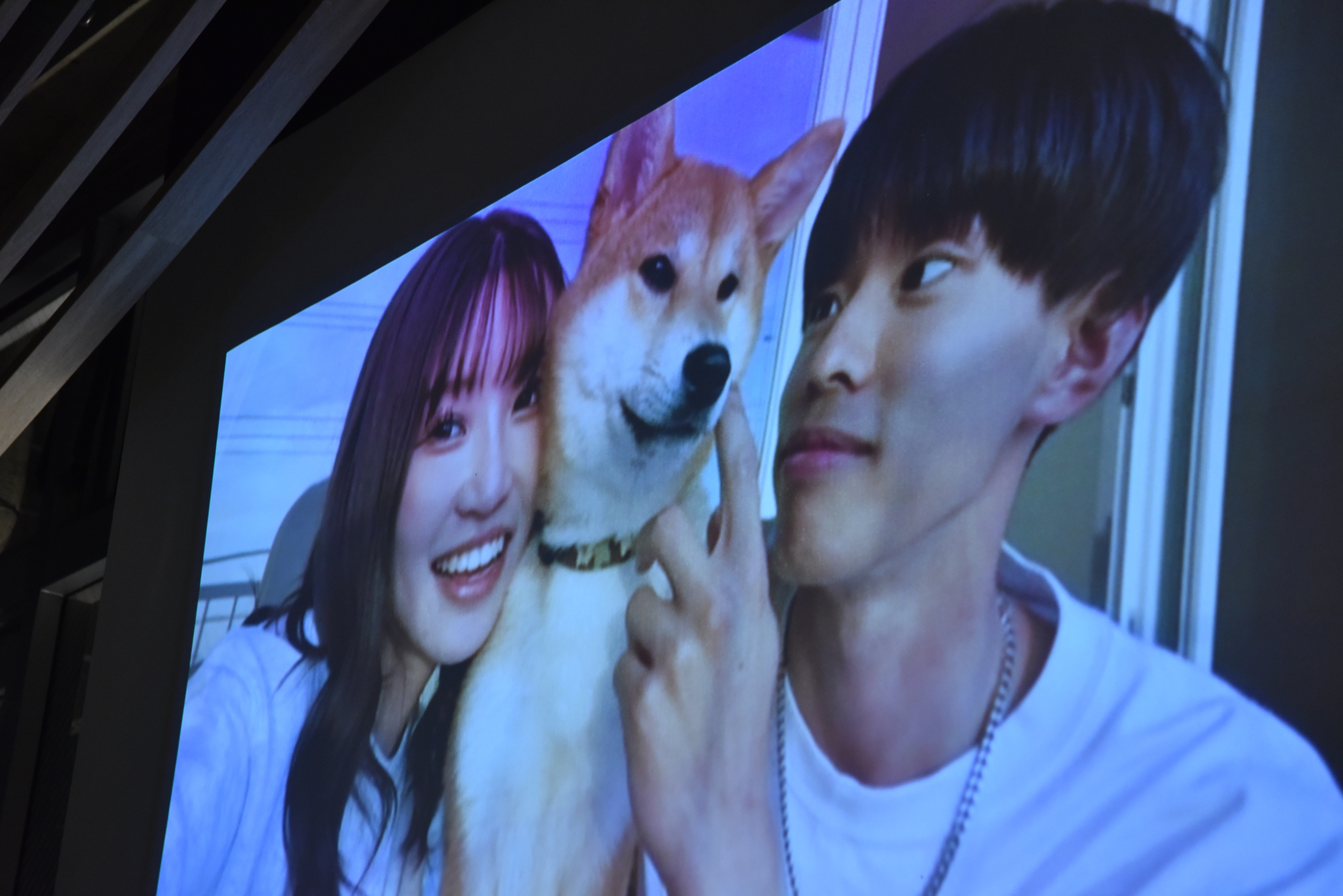 愛犬と行う結婚式Part1（挙式）