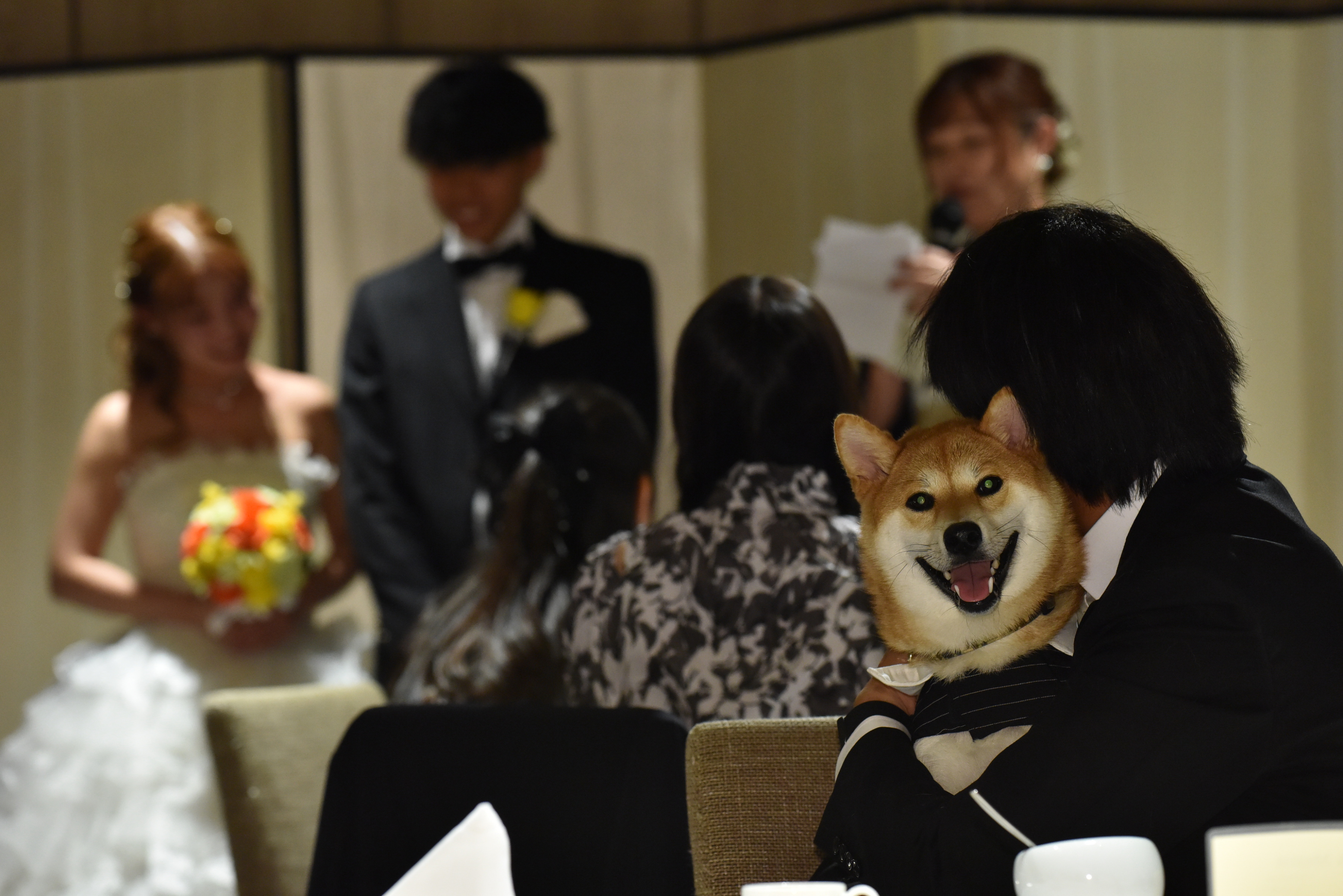 愛犬と行う結婚式Part2（披露宴）