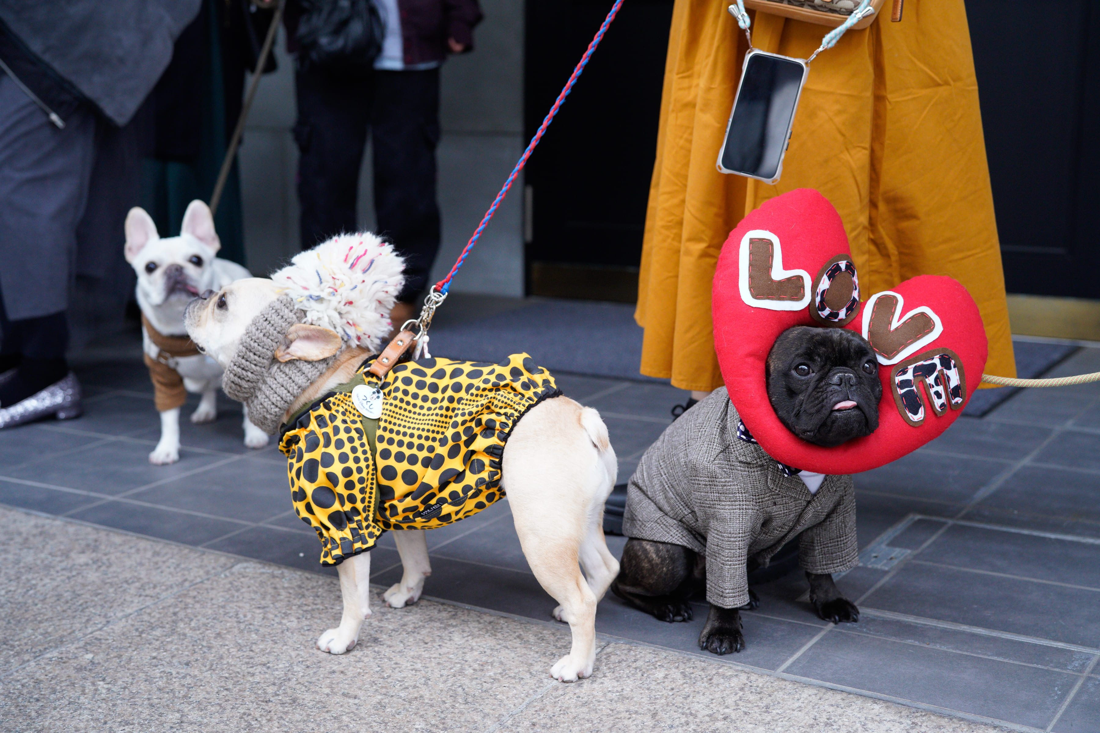 わんわんパラダイスなＨａｐｐｙ　Ｗｅｄｄｉｎｇ！！　Ｐａｒｔ１