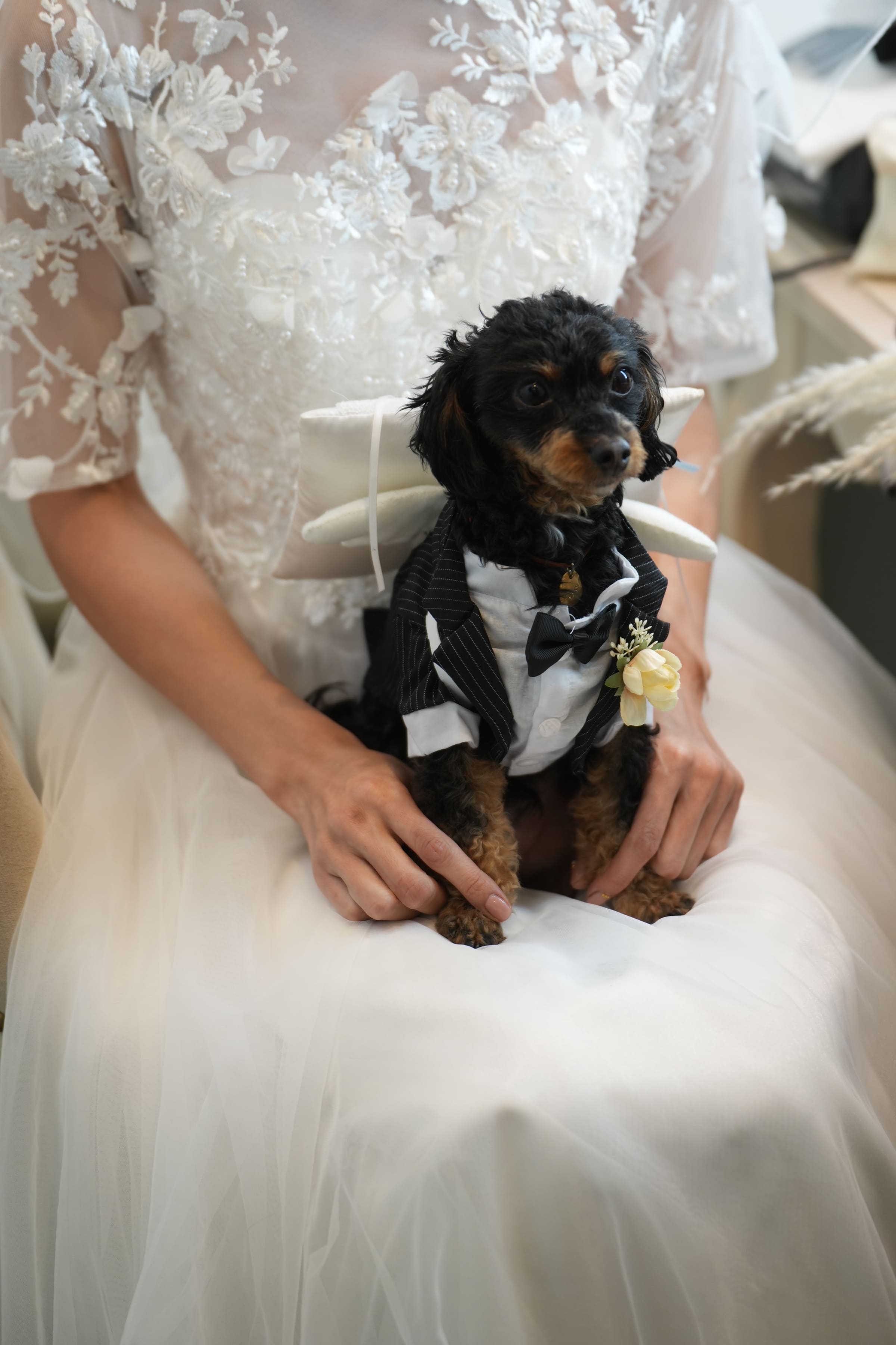 わんわんパラダイスなＨａｐｐｙ　Ｗｅｄｄｉｎｇ！！　Ｐａｒｔ１