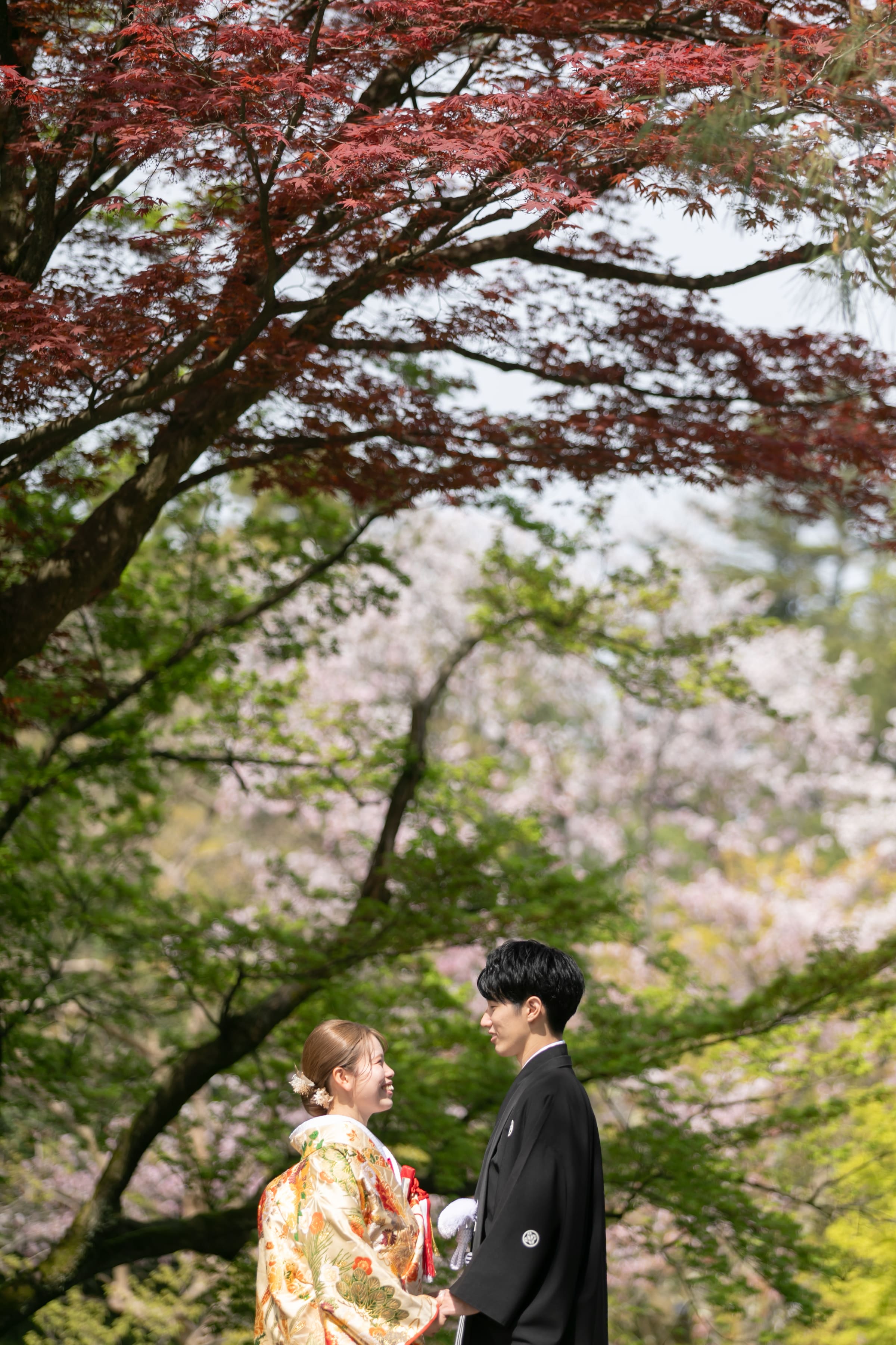 兼六園でのロケーション撮影＆金澤神社での和婚式♪【前撮り編】