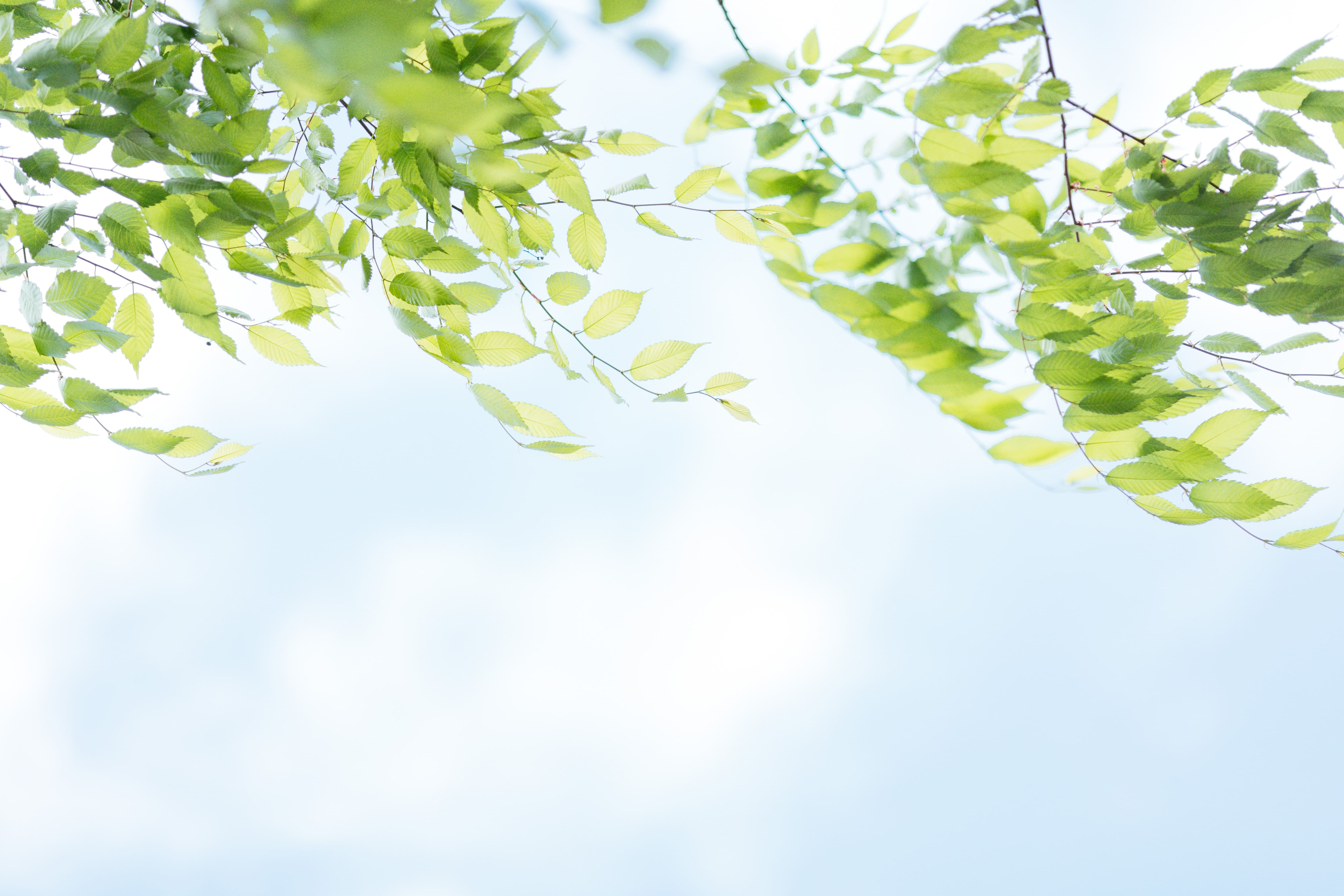 お子様と笑顔いっぱいアットホームな結婚式【挙式編①】