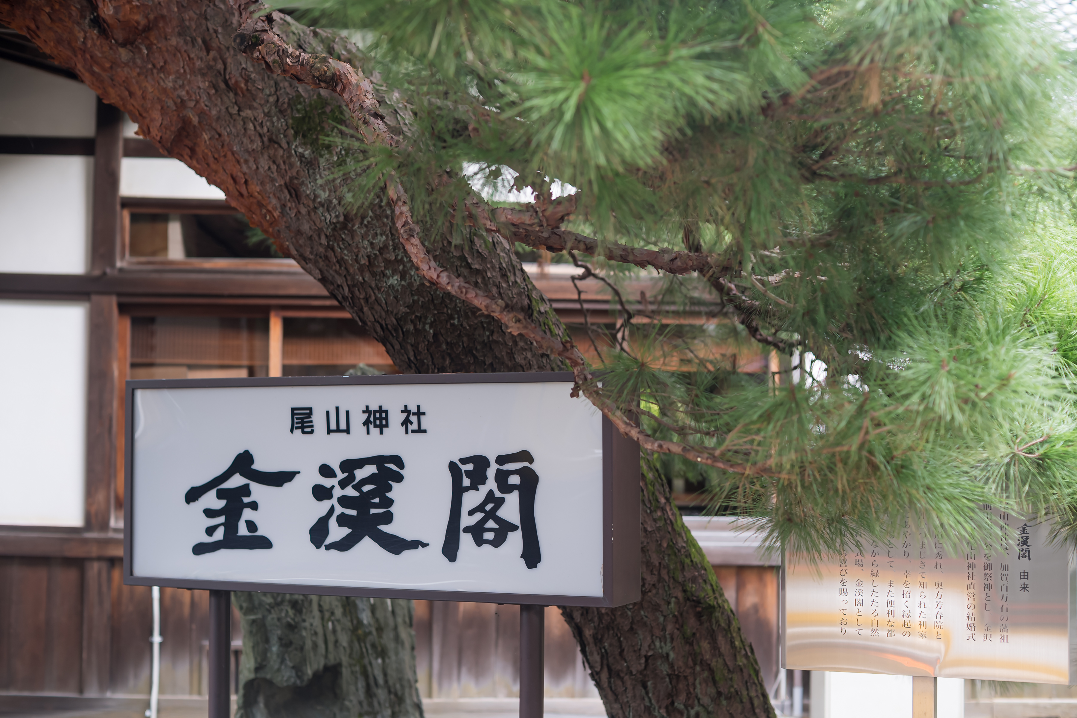 金沢で叶える神社婚　～ひがし茶屋街でのロケーション撮影～
