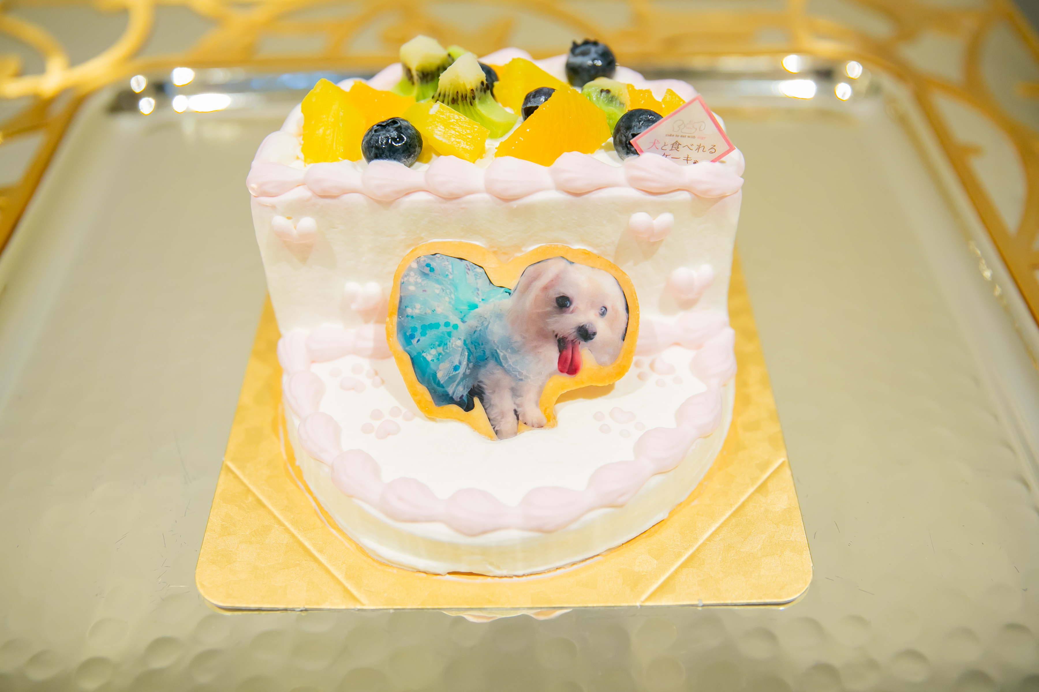大切なわんちゃんとゲストの皆様とご結婚式✨
