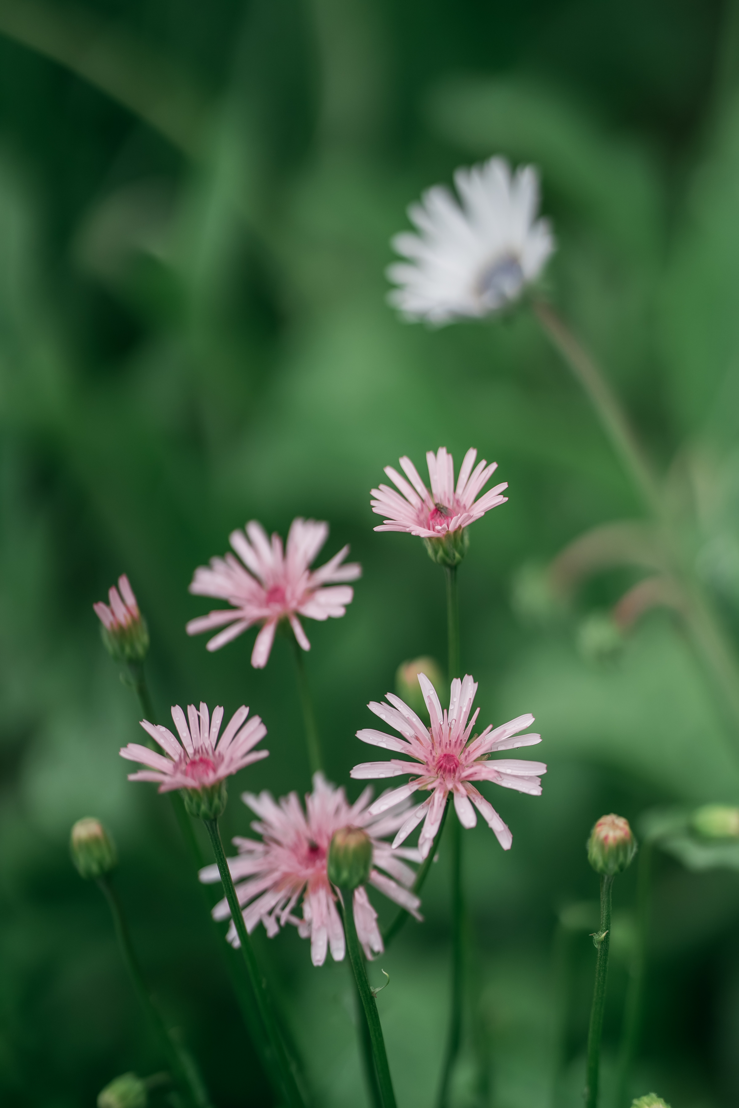 季節の情景　と　結婚式の雰囲気　part1