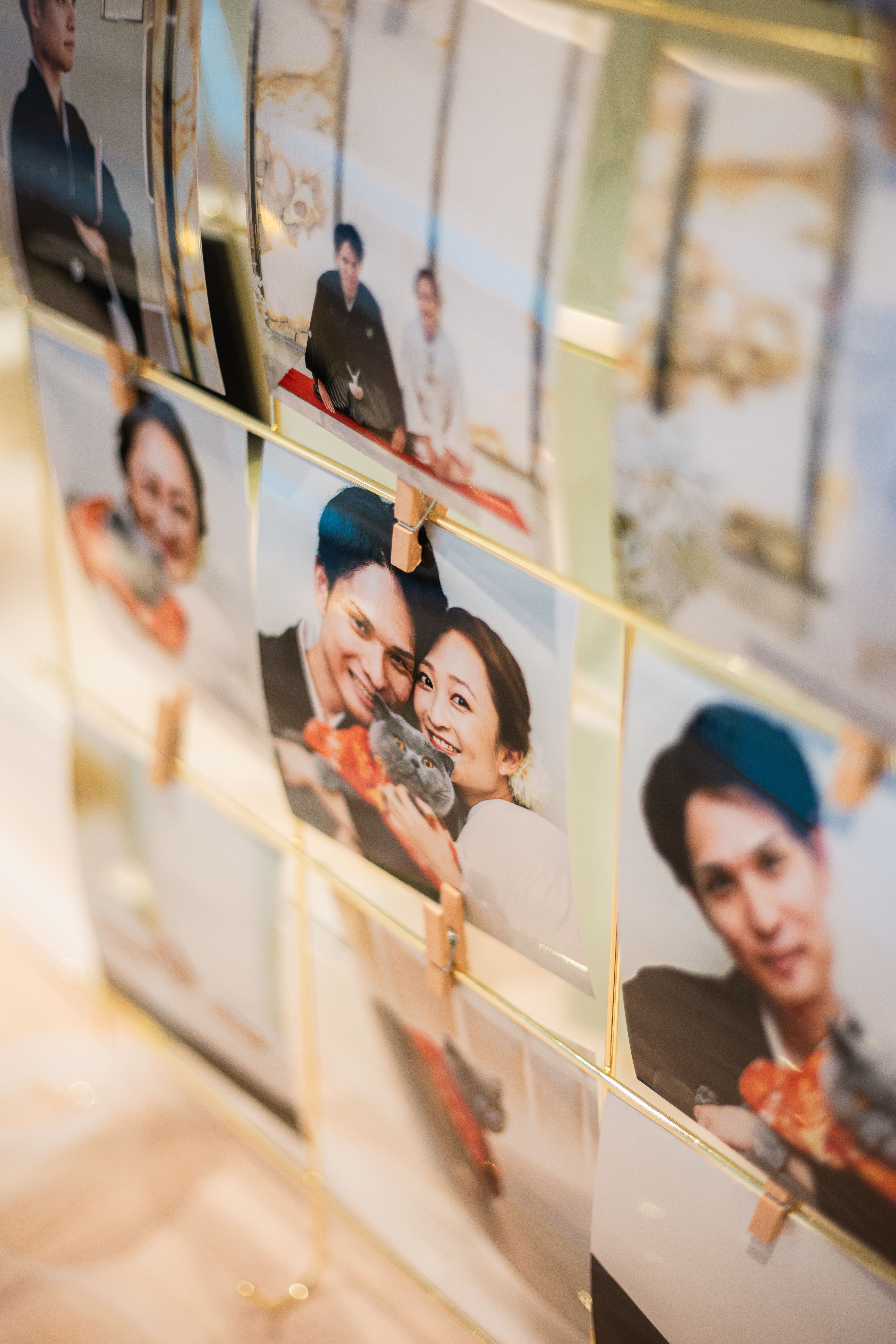 お留守番だけど一緒に参加できるペット婚?