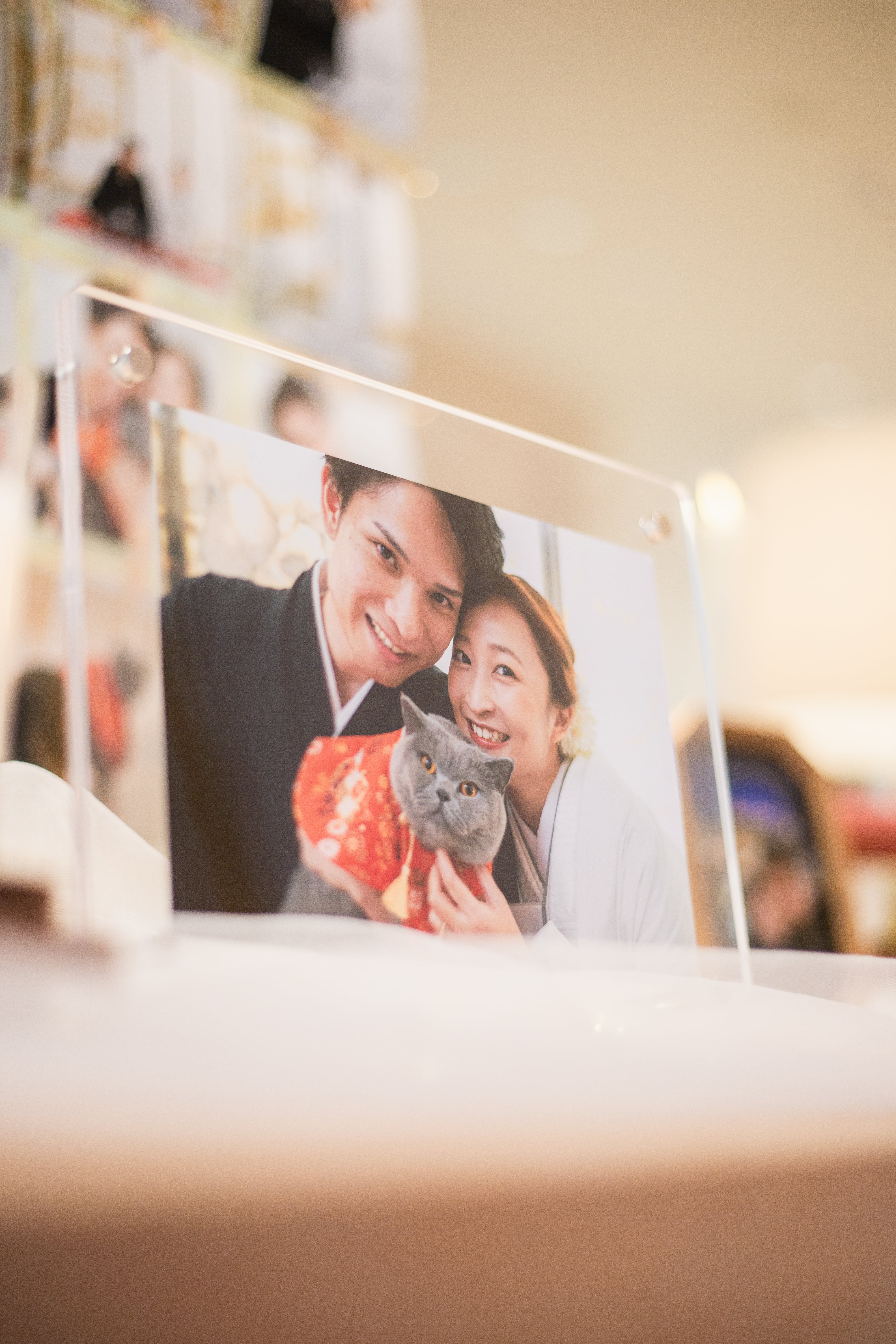 お留守番だけど一緒に参加できるペット婚?