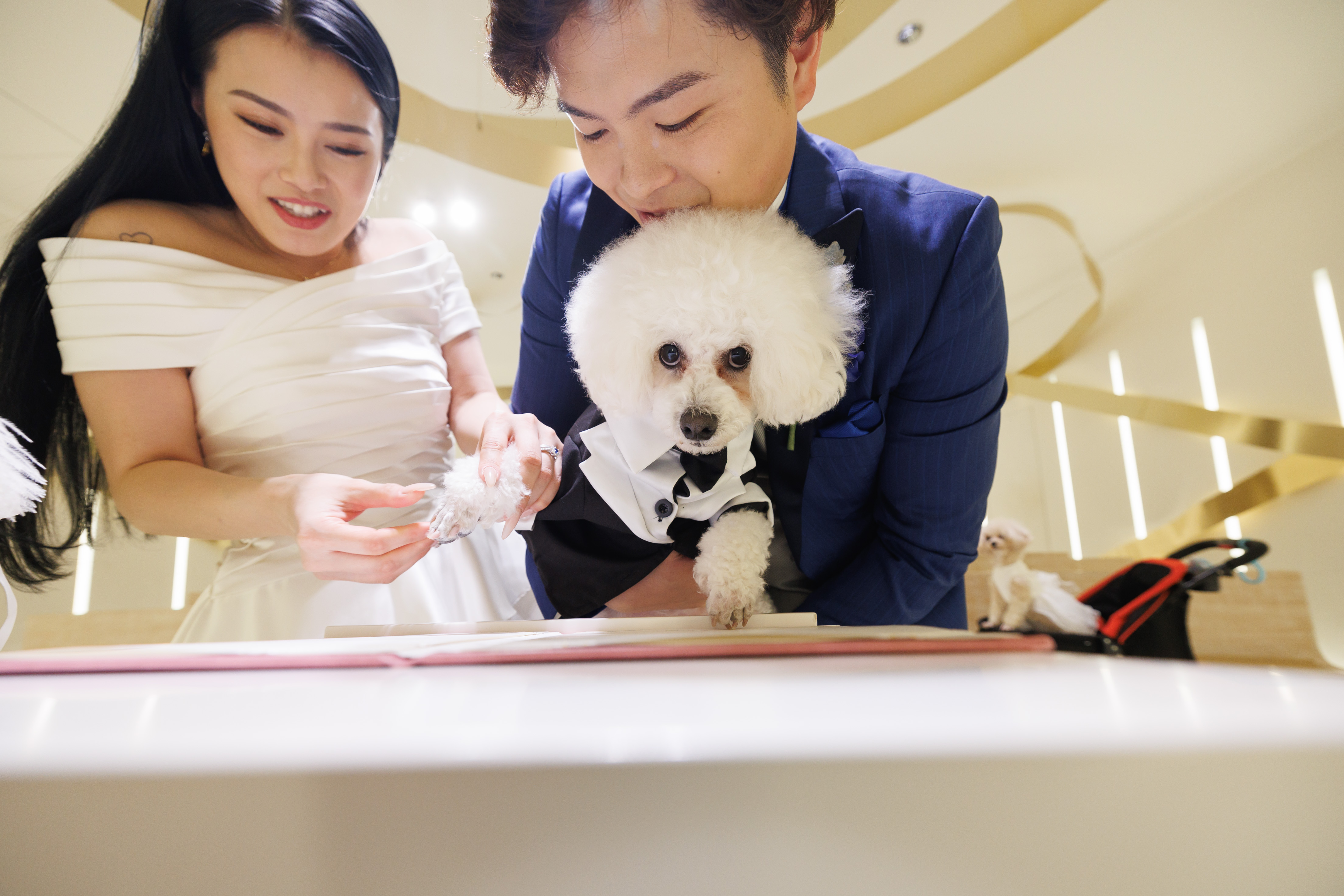 ペットと新郎新婦お二人だけの結婚式をご紹介?(挙式中)