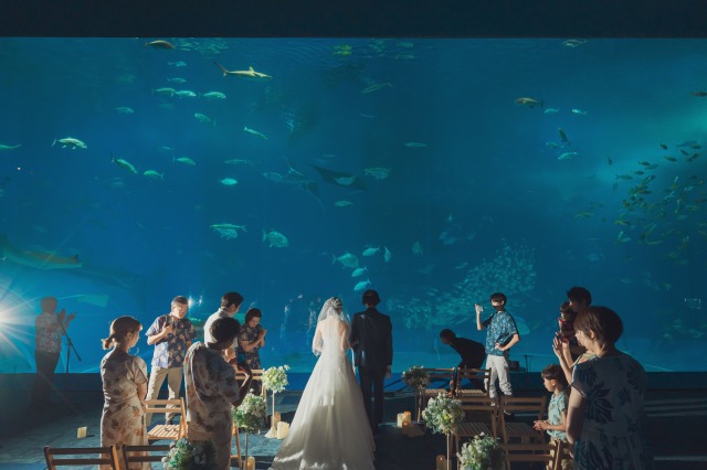 美ら海水族館を貸切！？夢に見た結婚式♡