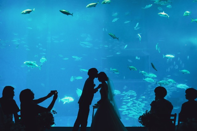 美ら海水族館を貸切！？夢に見た結婚式♡