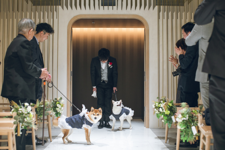 ペットと一緒に結婚式