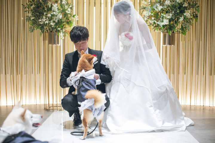 ペットと一緒に結婚式