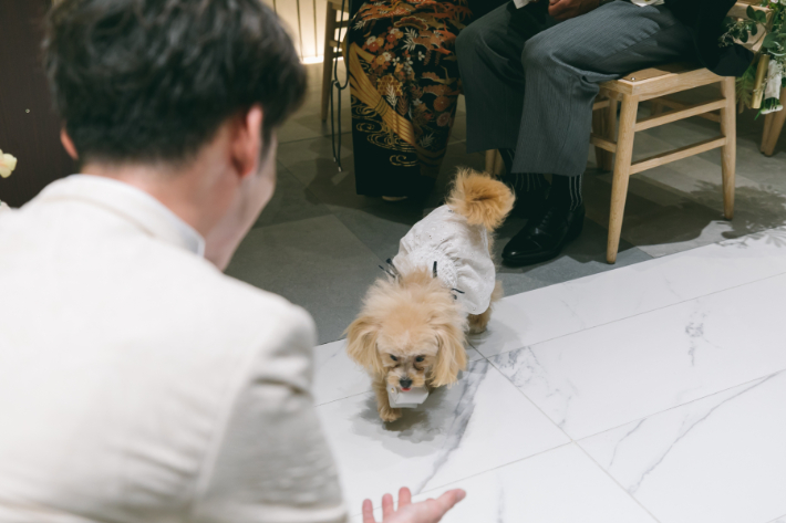 「愛犬と一緒にが叶う」結婚式 part.2