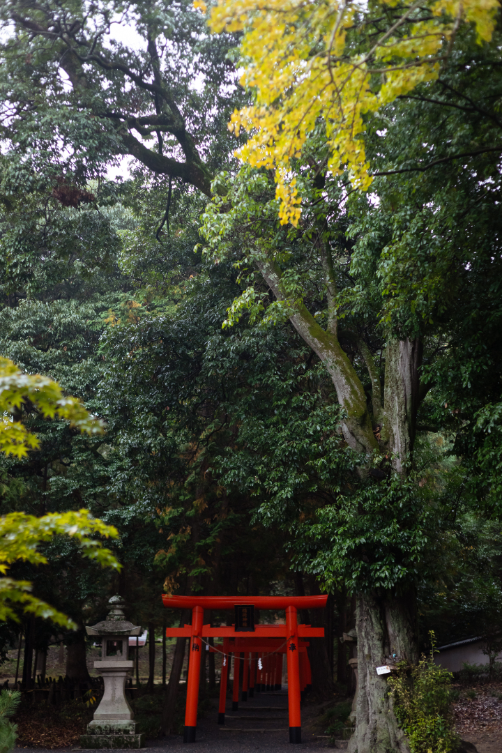 吉備津彦神社 挙式⛩