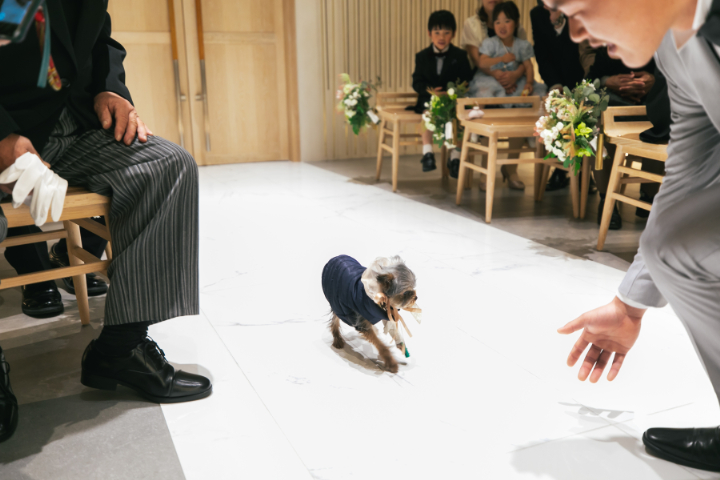 演出もりだくさん♡