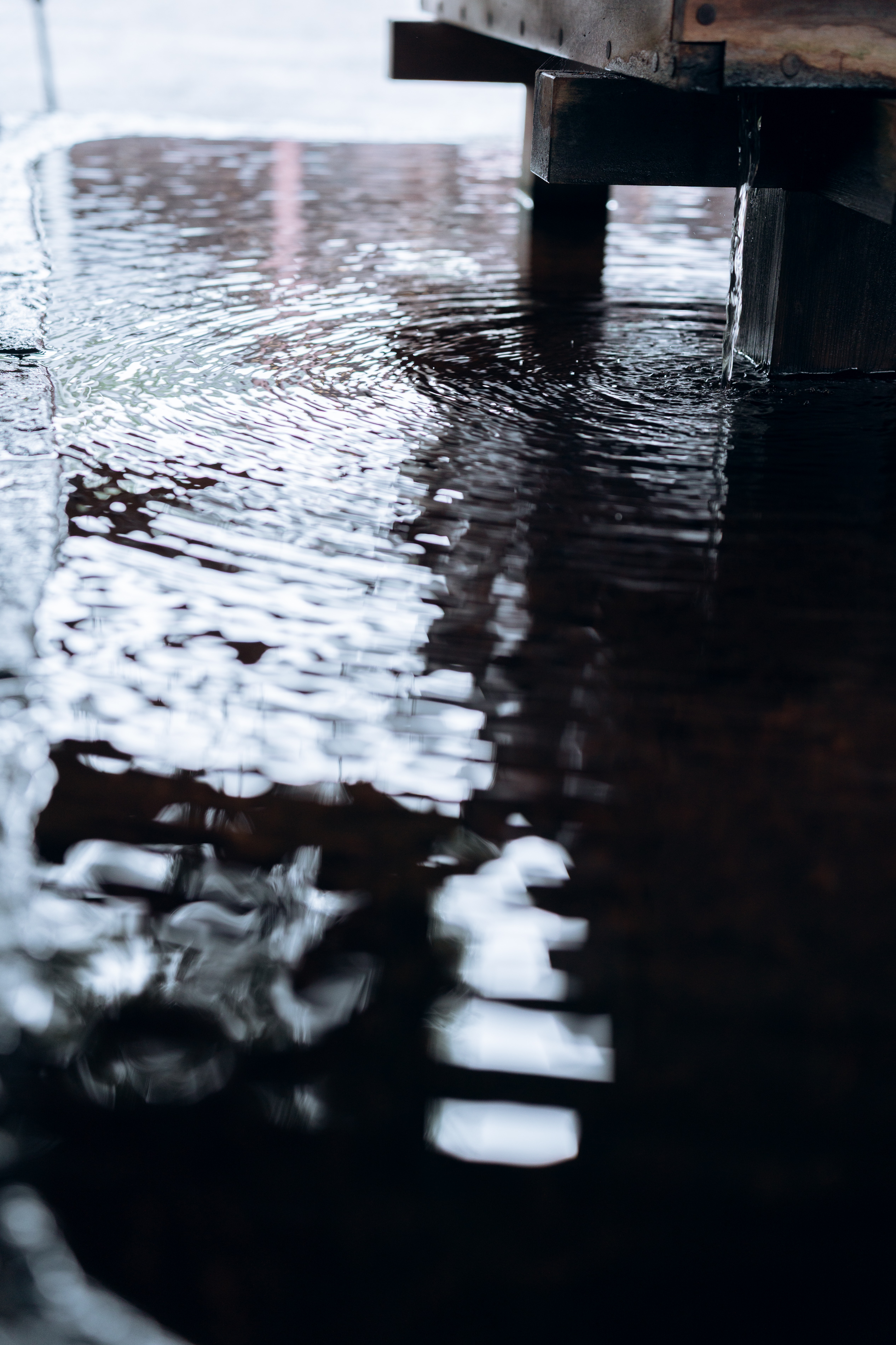 【8月】の北海道神宮で紡ぐ、おふたりの誓い