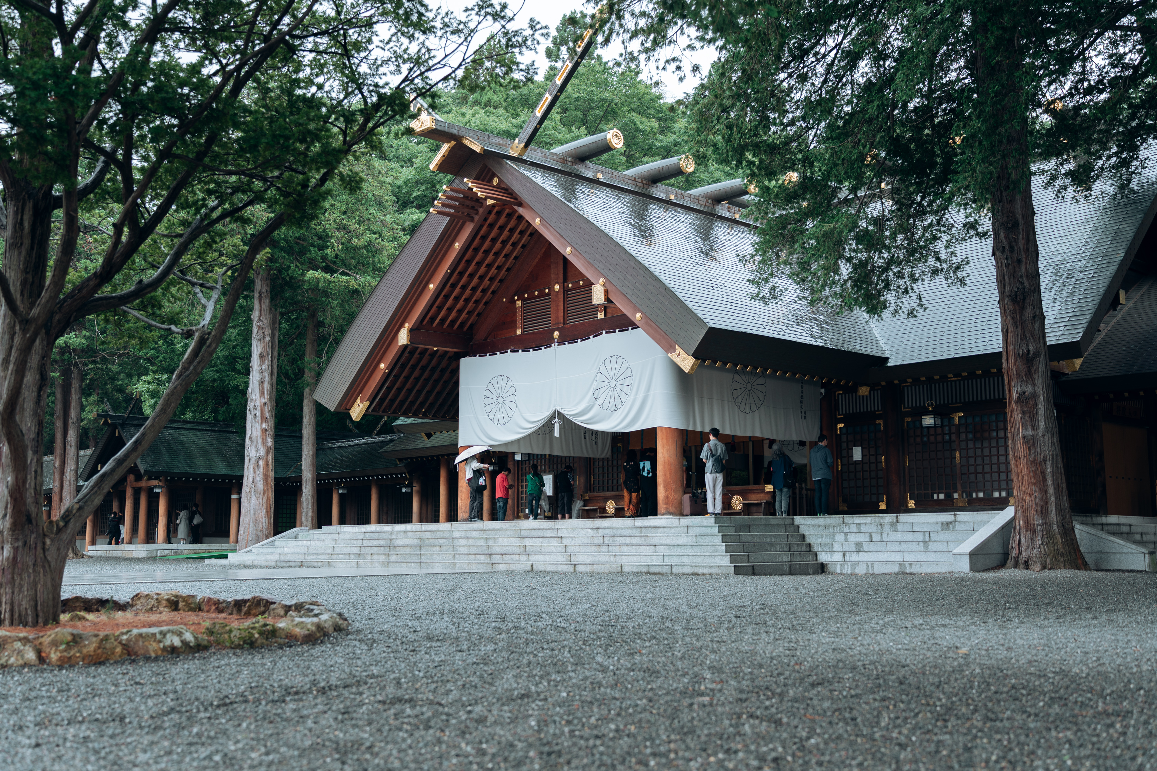 【8月】の北海道神宮で紡ぐ、おふたりの誓い