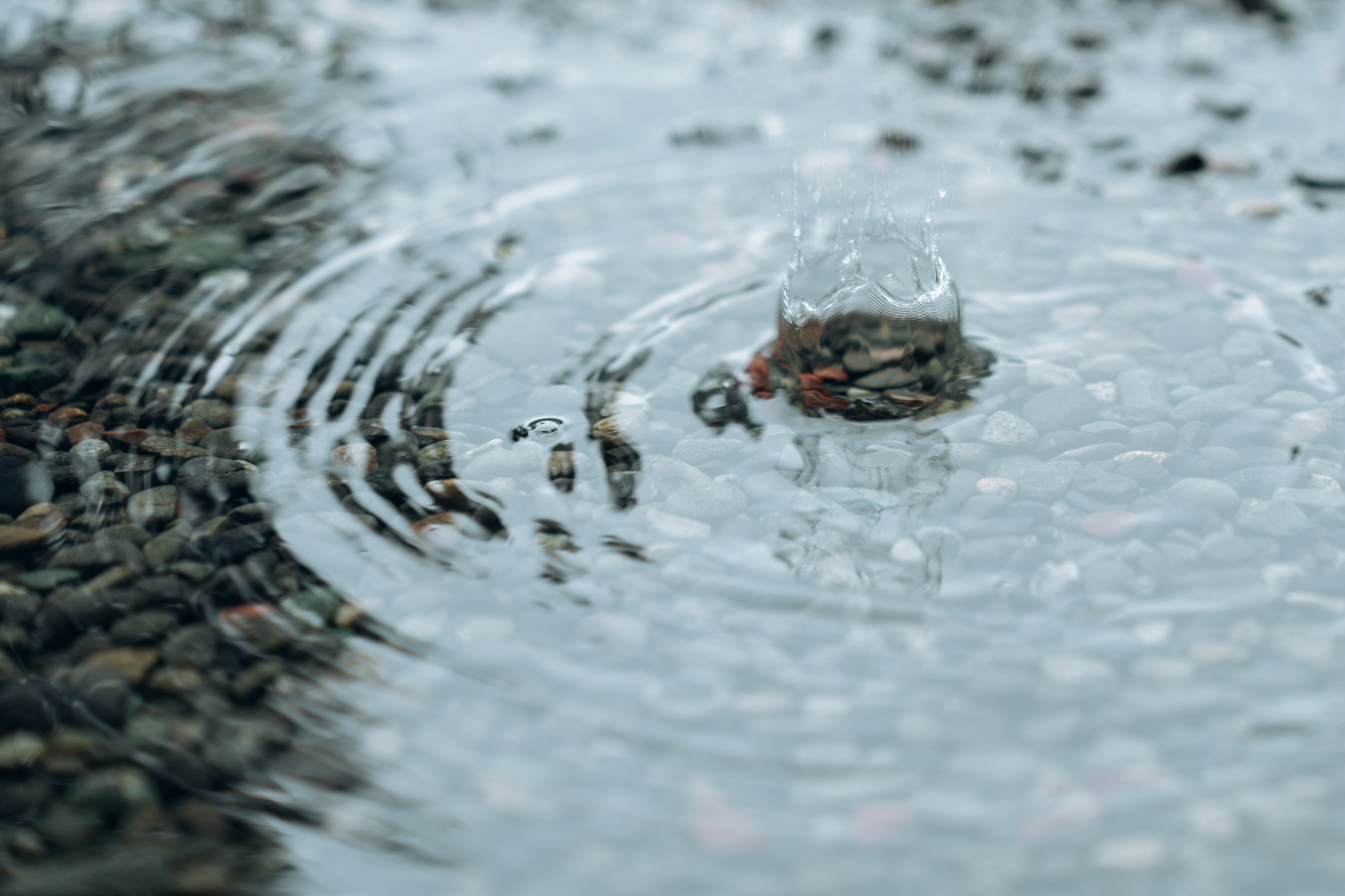 【8月】の北海道神宮で紡ぐ、おふたりの誓い