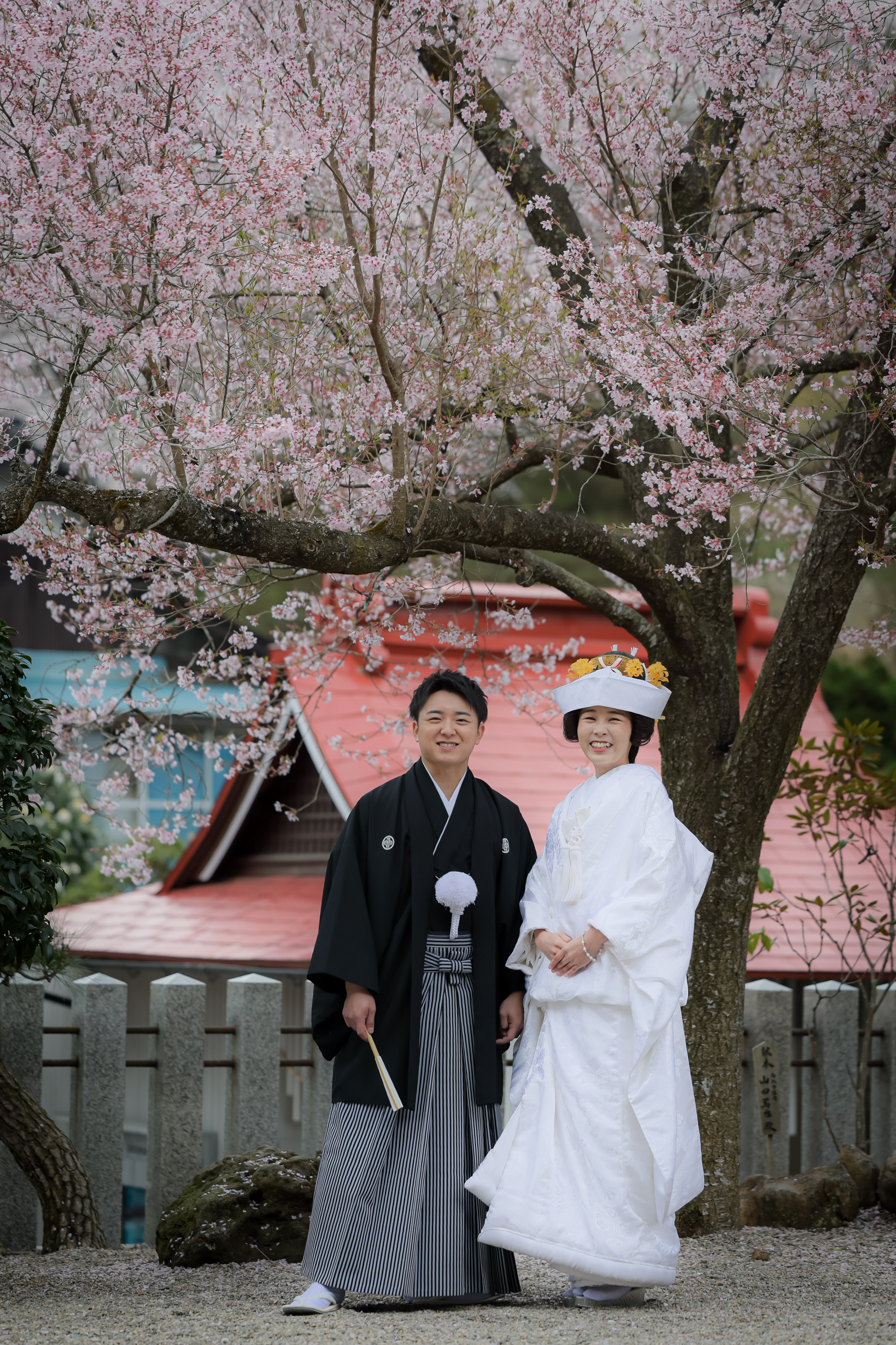 桜感じる神社での結婚式