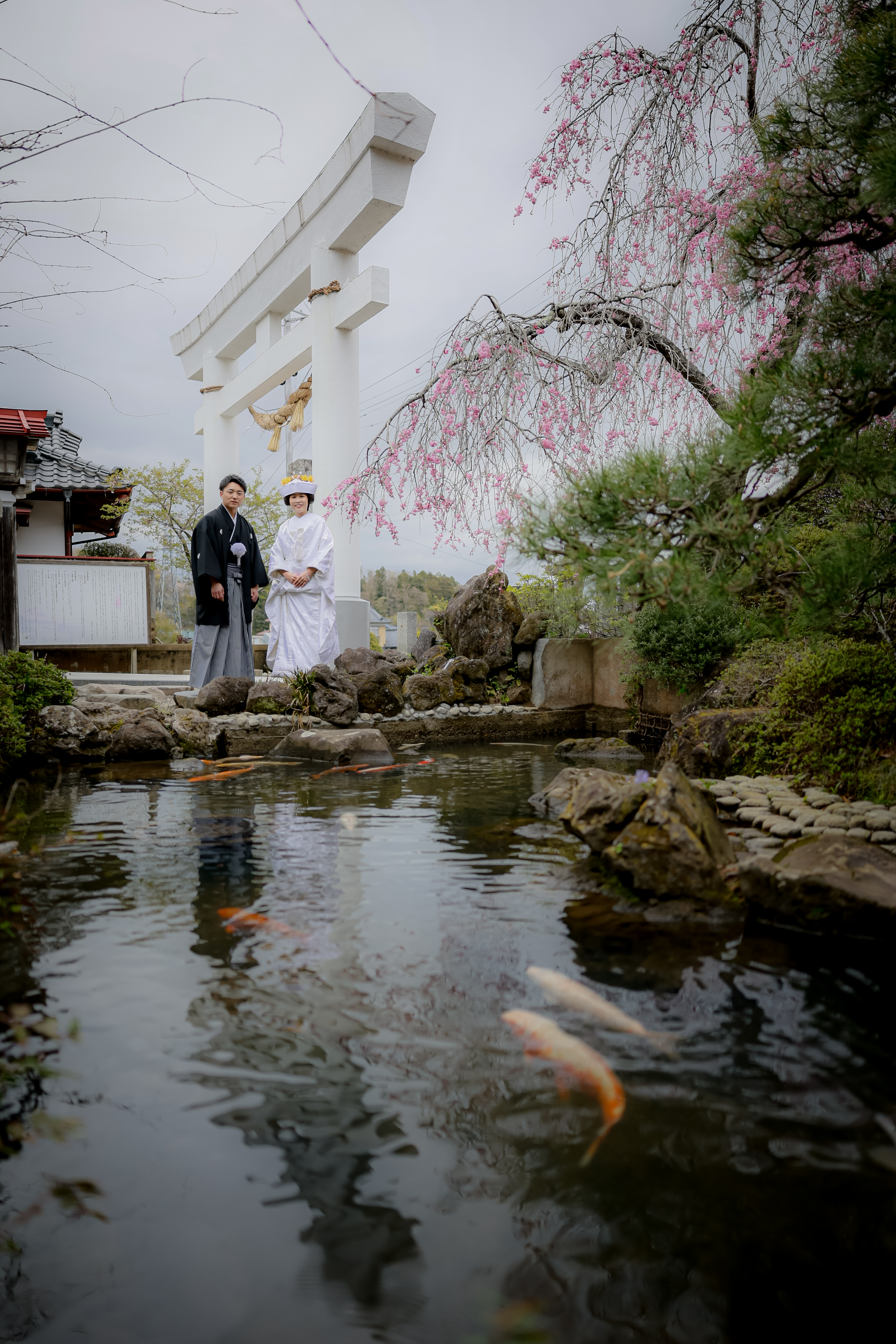 桜感じる神社での結婚式