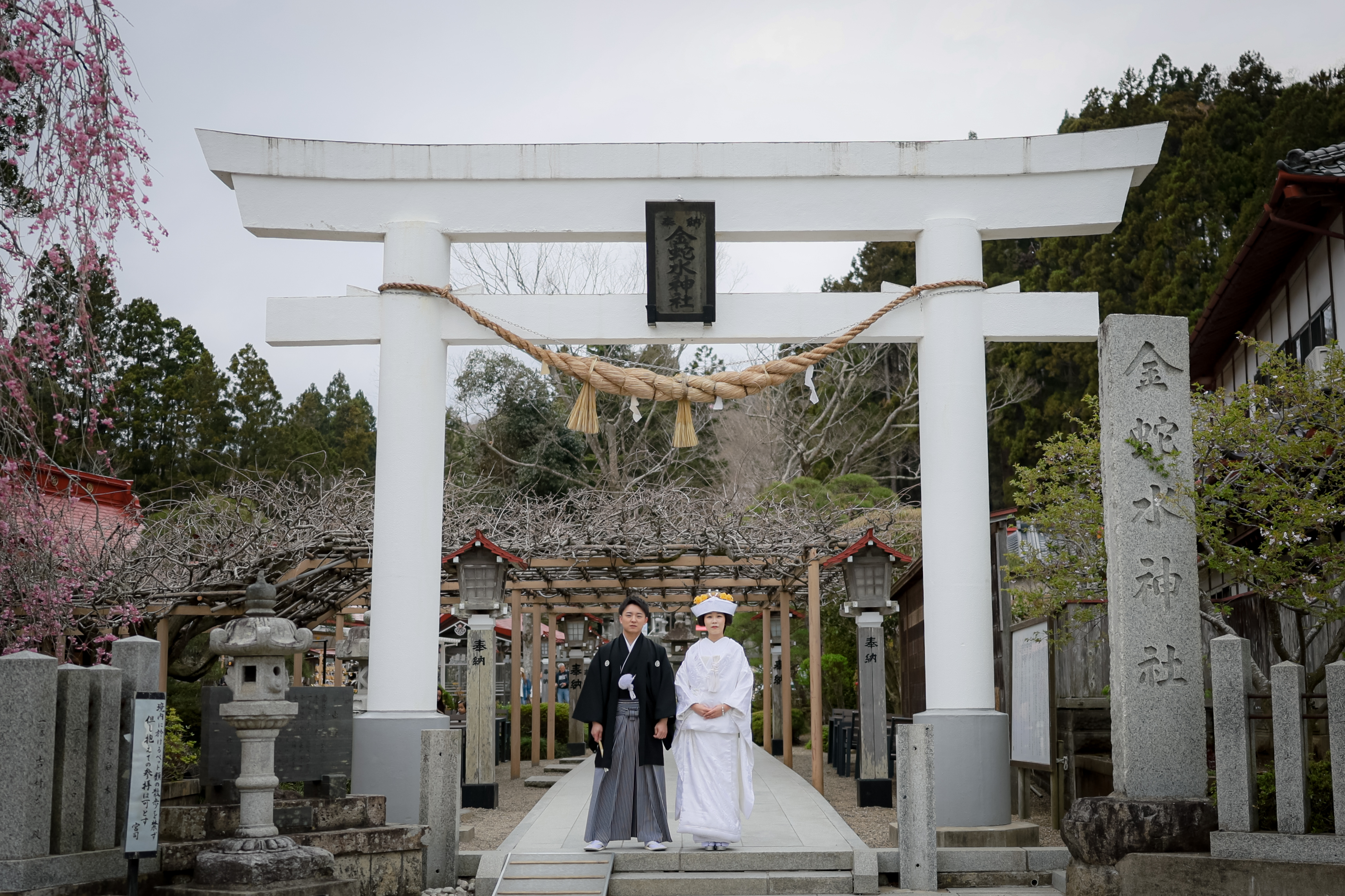桜感じる神社での結婚式
