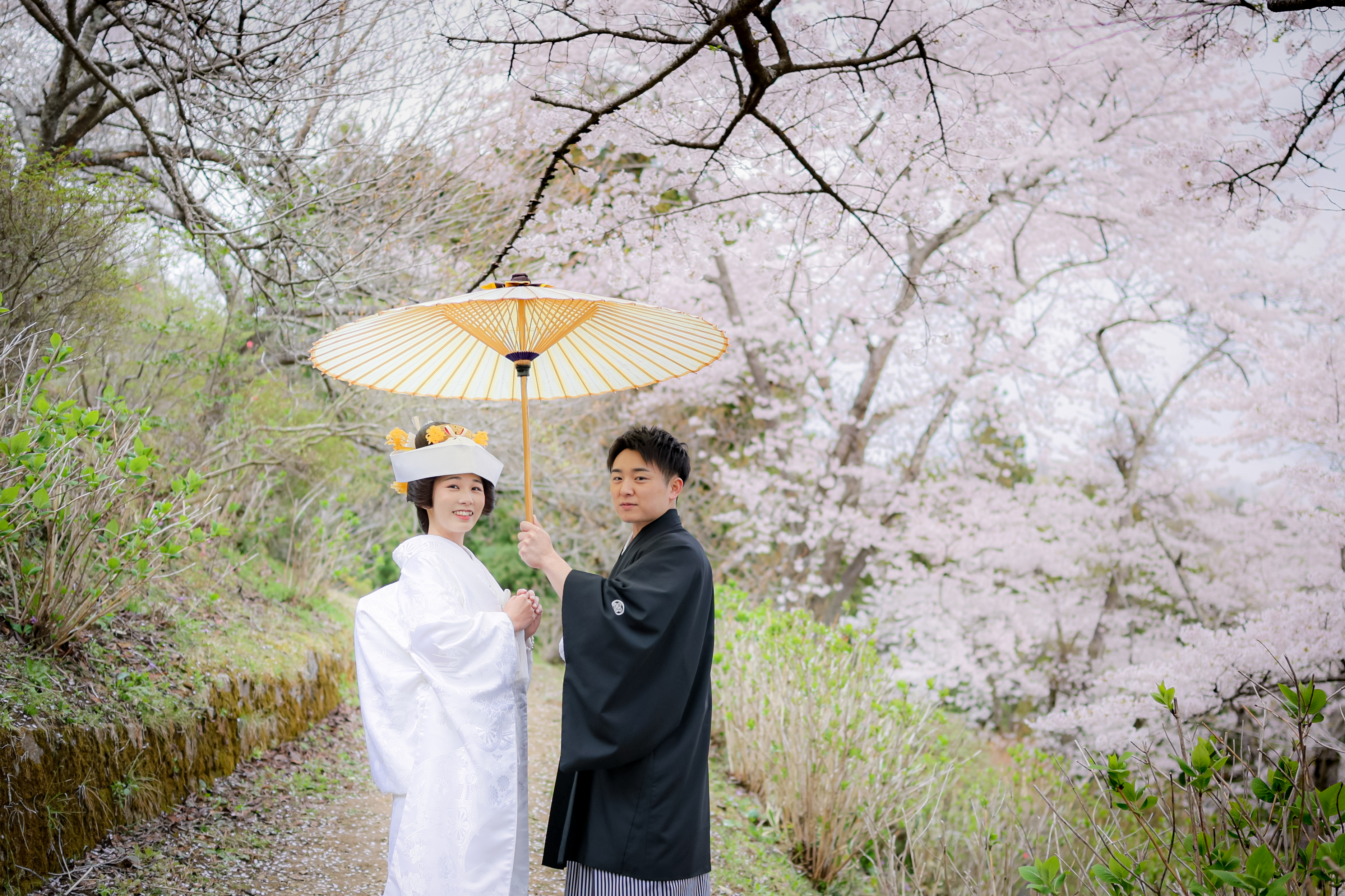 桜感じる神社での結婚式