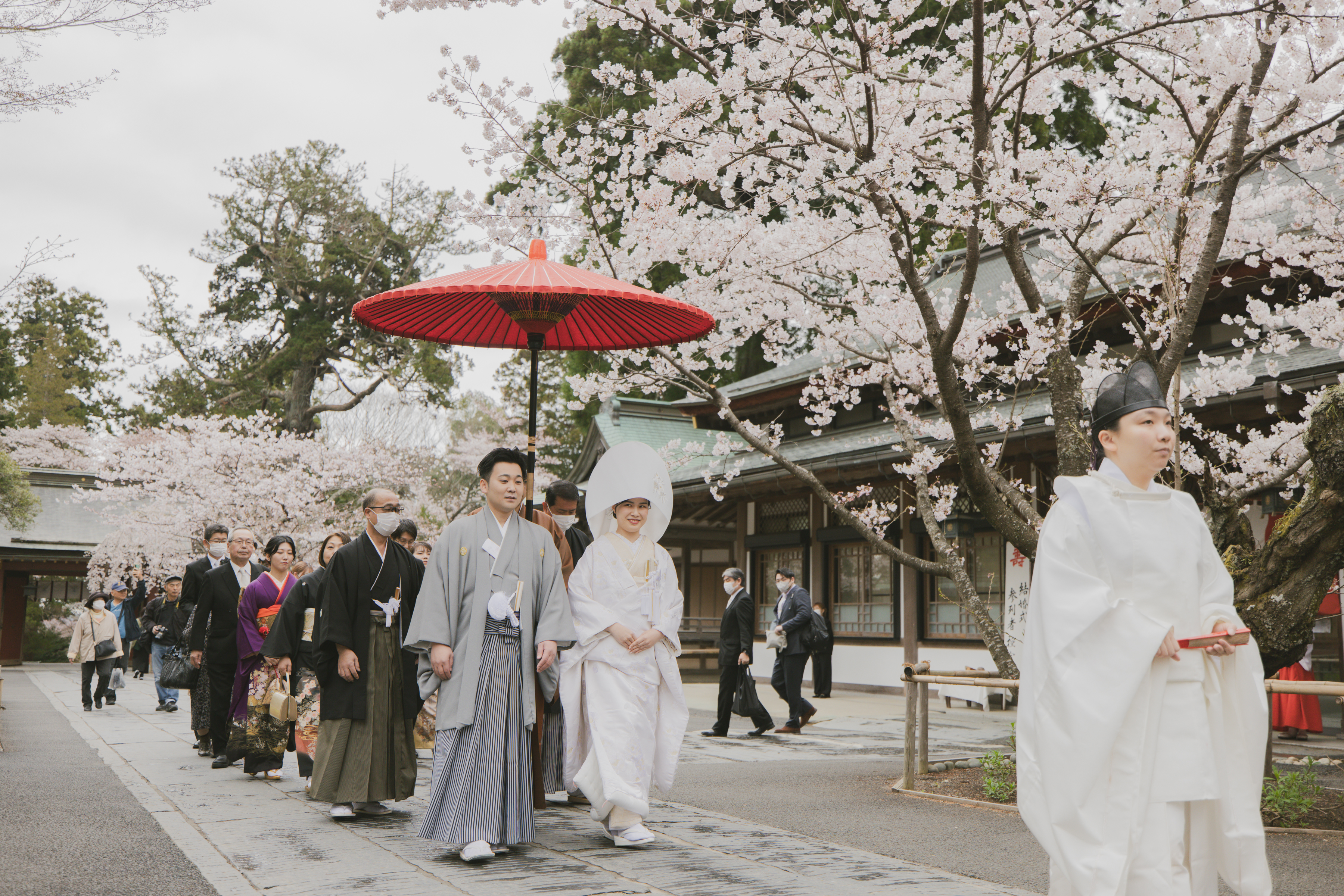 春の桜感じる結婚式　～大切な家族と友人と～