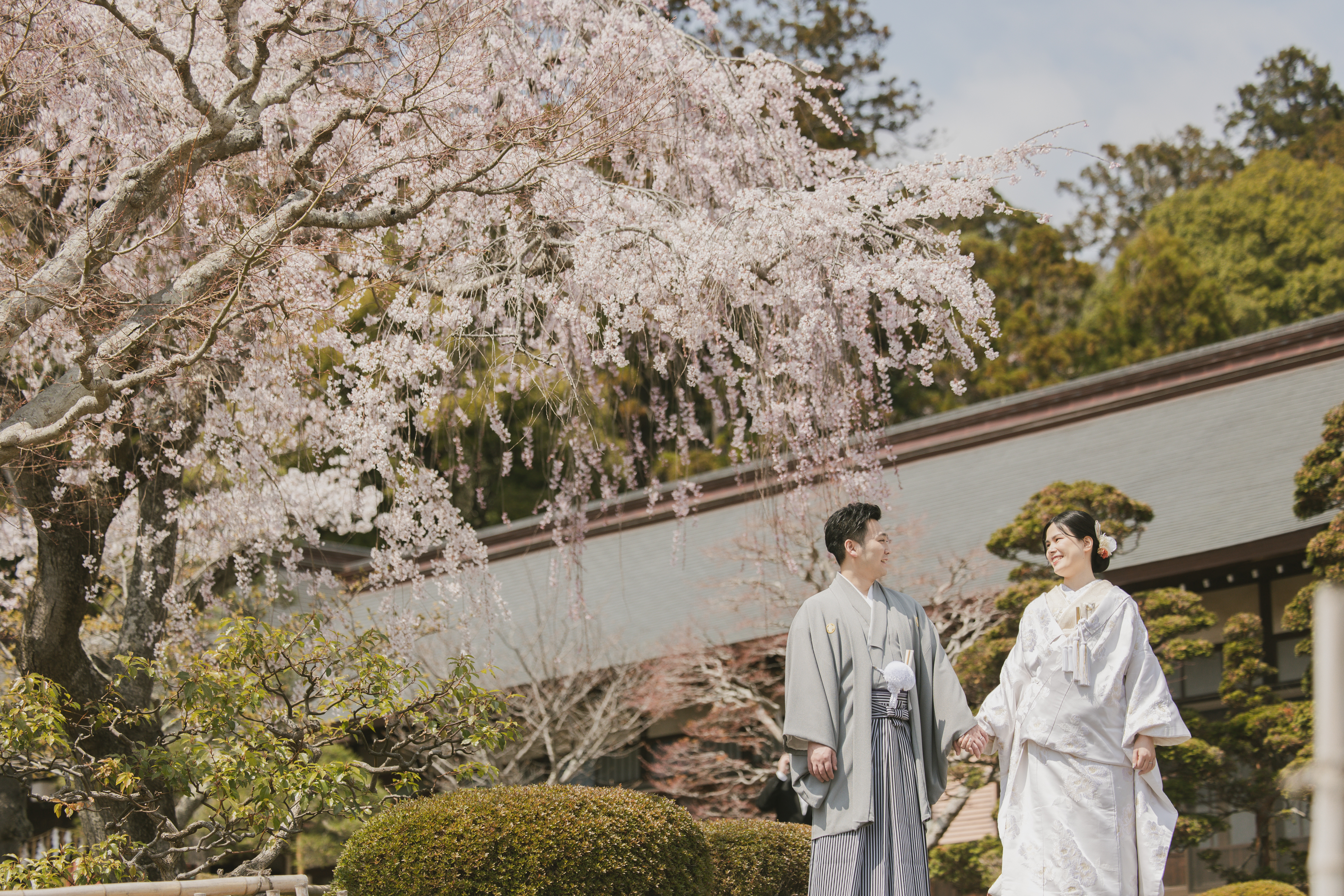 春の桜感じる結婚式　～大切な家族と友人と～