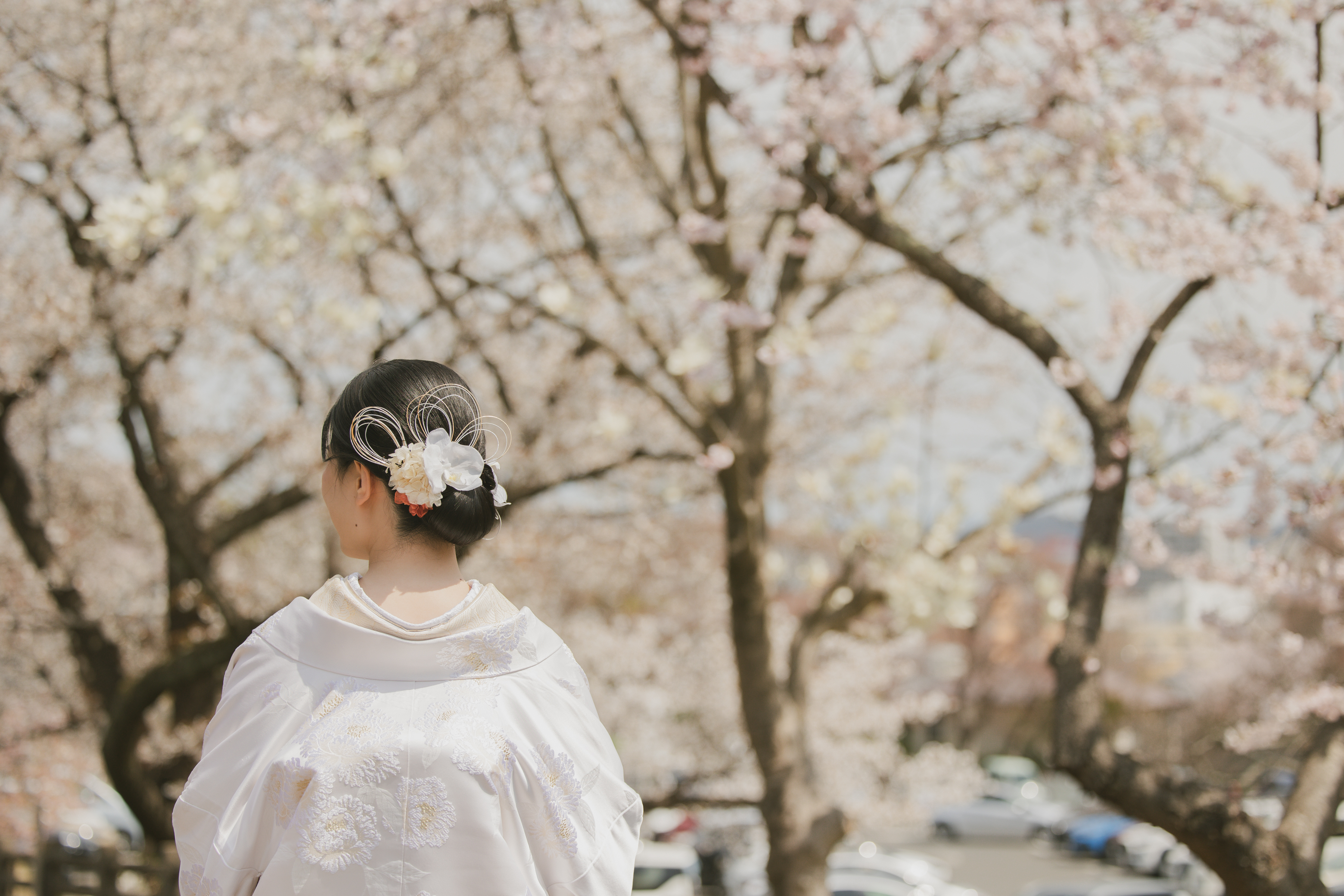 春の桜感じる結婚式　～大切な家族と友人と～