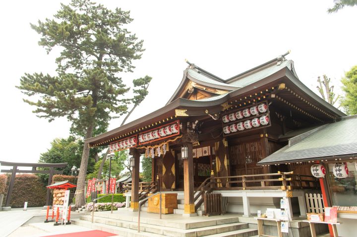 表参道店神社挙式のご紹介♪　～沼袋氷川神社～