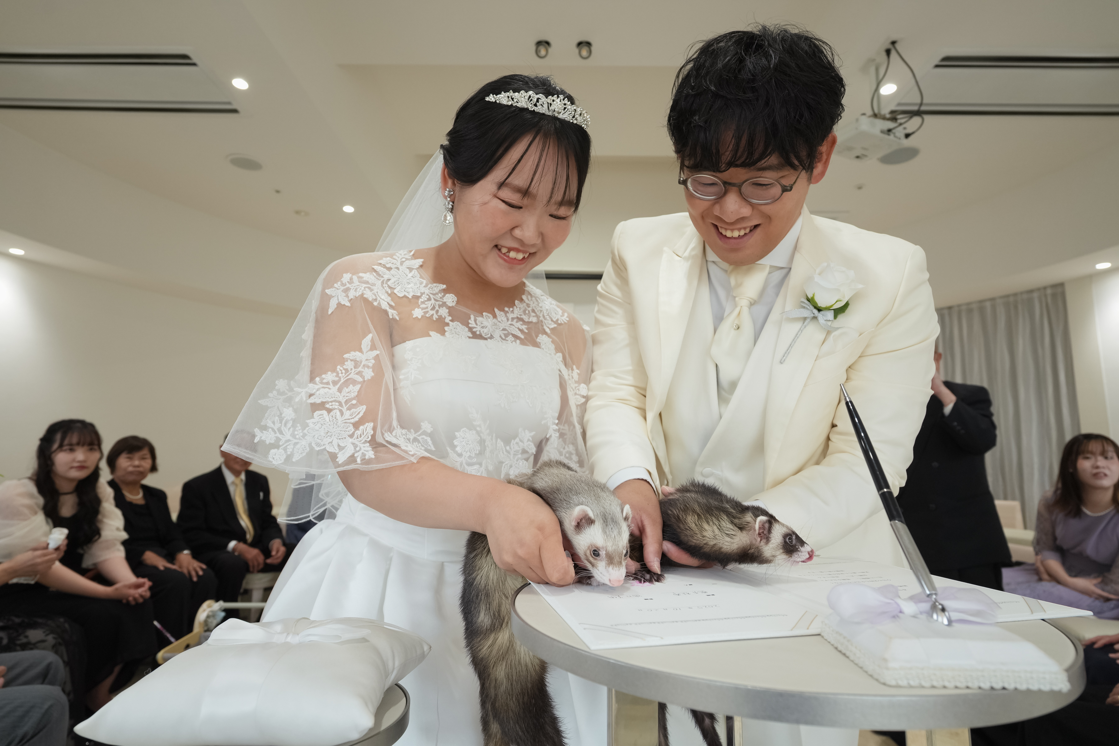 フェレット×結婚式