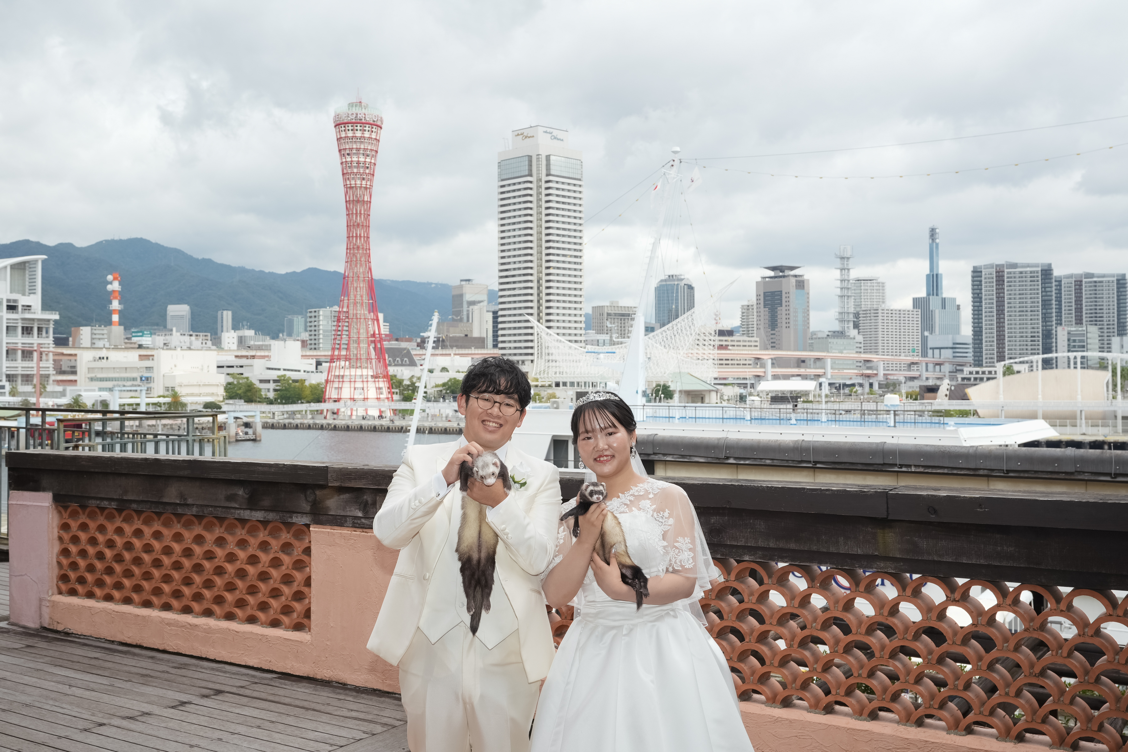 フェレット×結婚式
