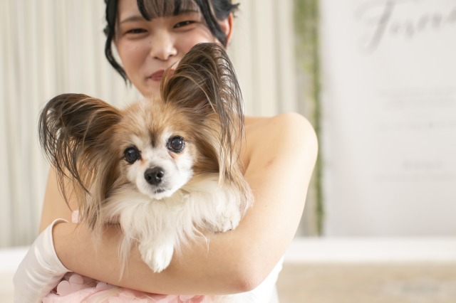愛犬と叶えるフォトウェディング?