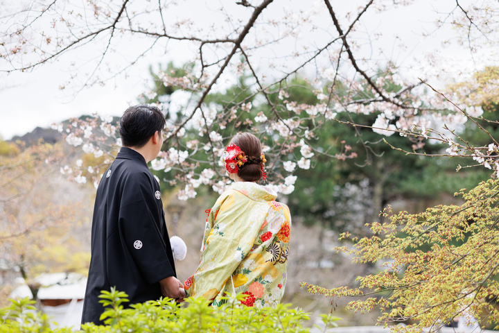＜フォトウエディング・前撮り＞桜シーズンの予約について