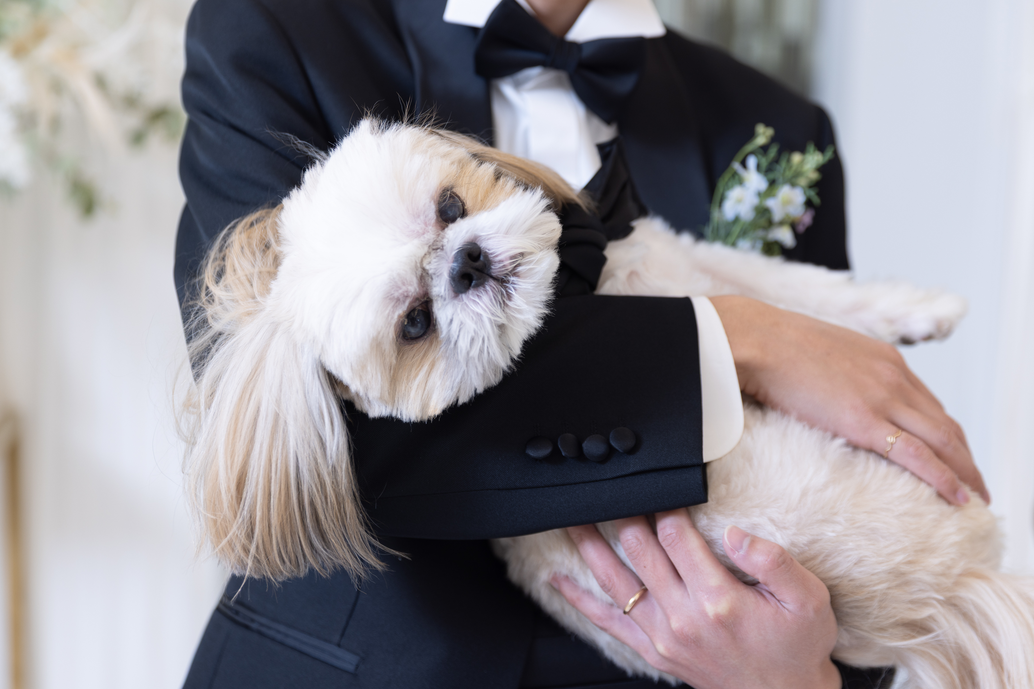 愛犬と一緒にフォトウェディング