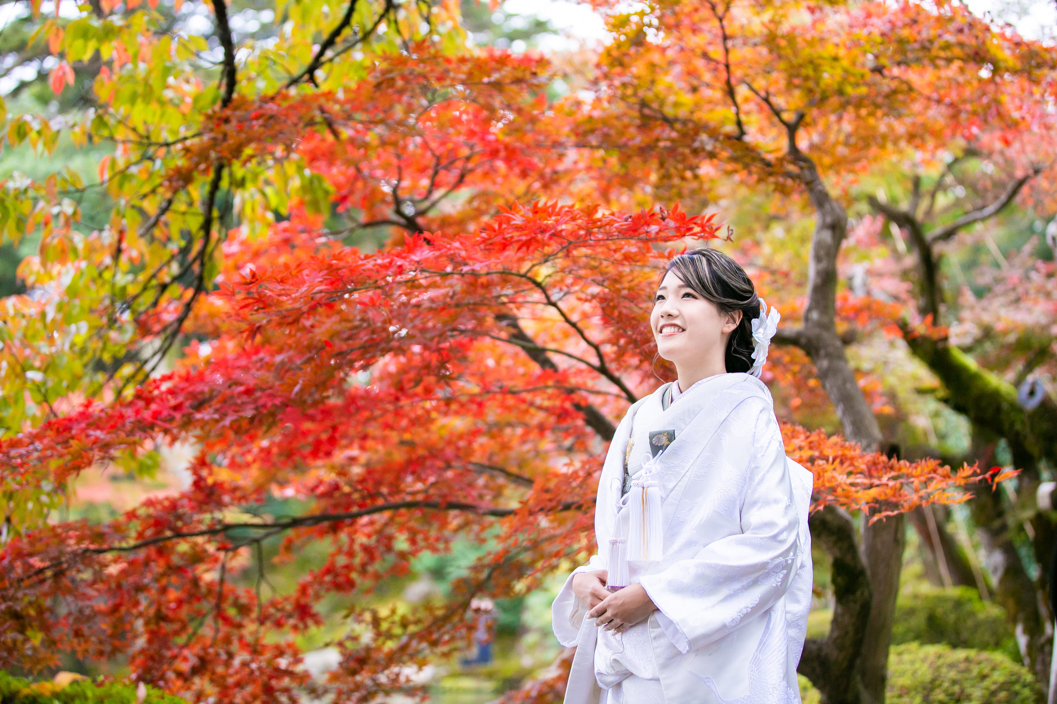 まだ間に合います！紅葉ロケーション撮影のご案内