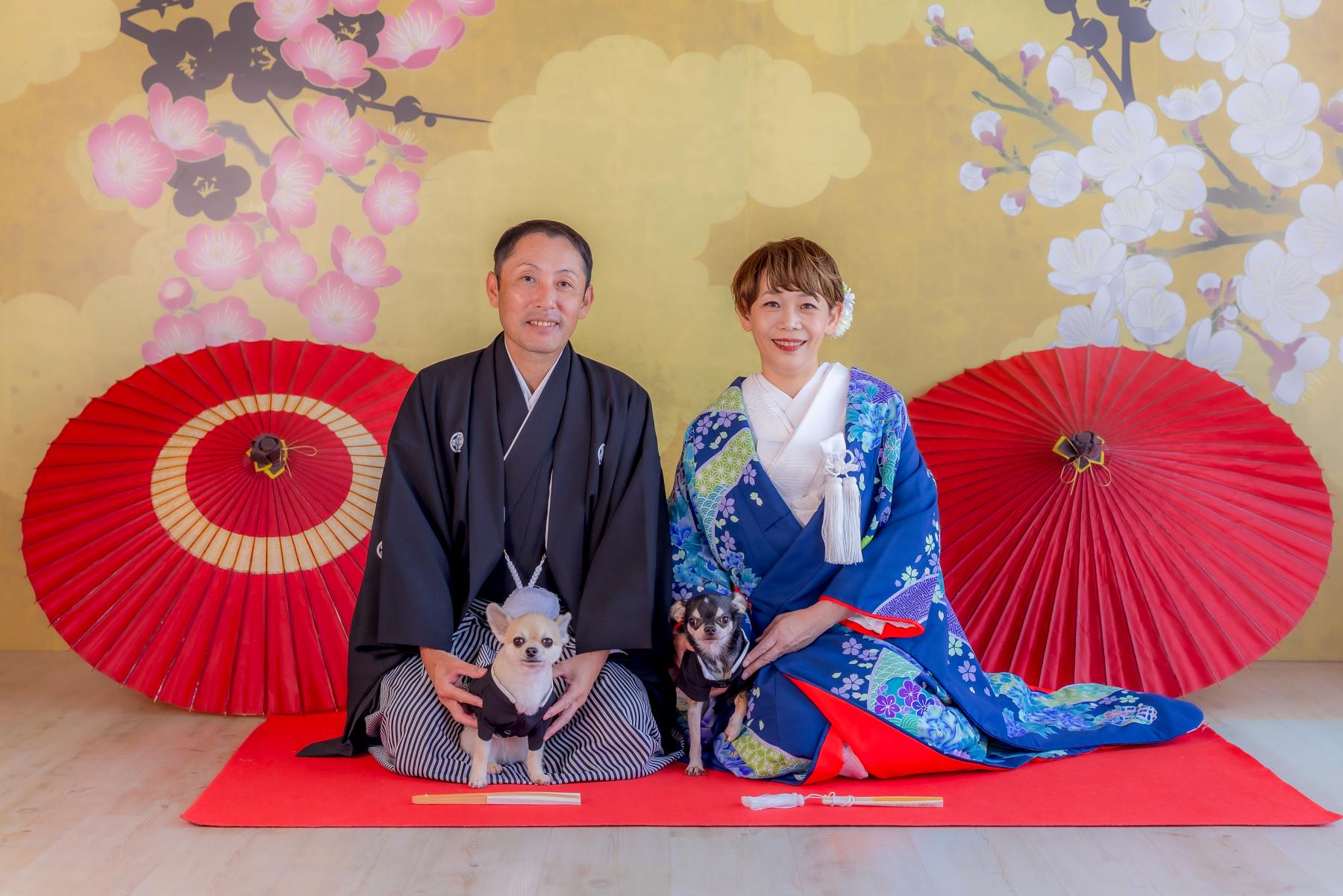 宮崎スタジオで和装洋装フォトウェディング✨愛犬たちと共に🐶