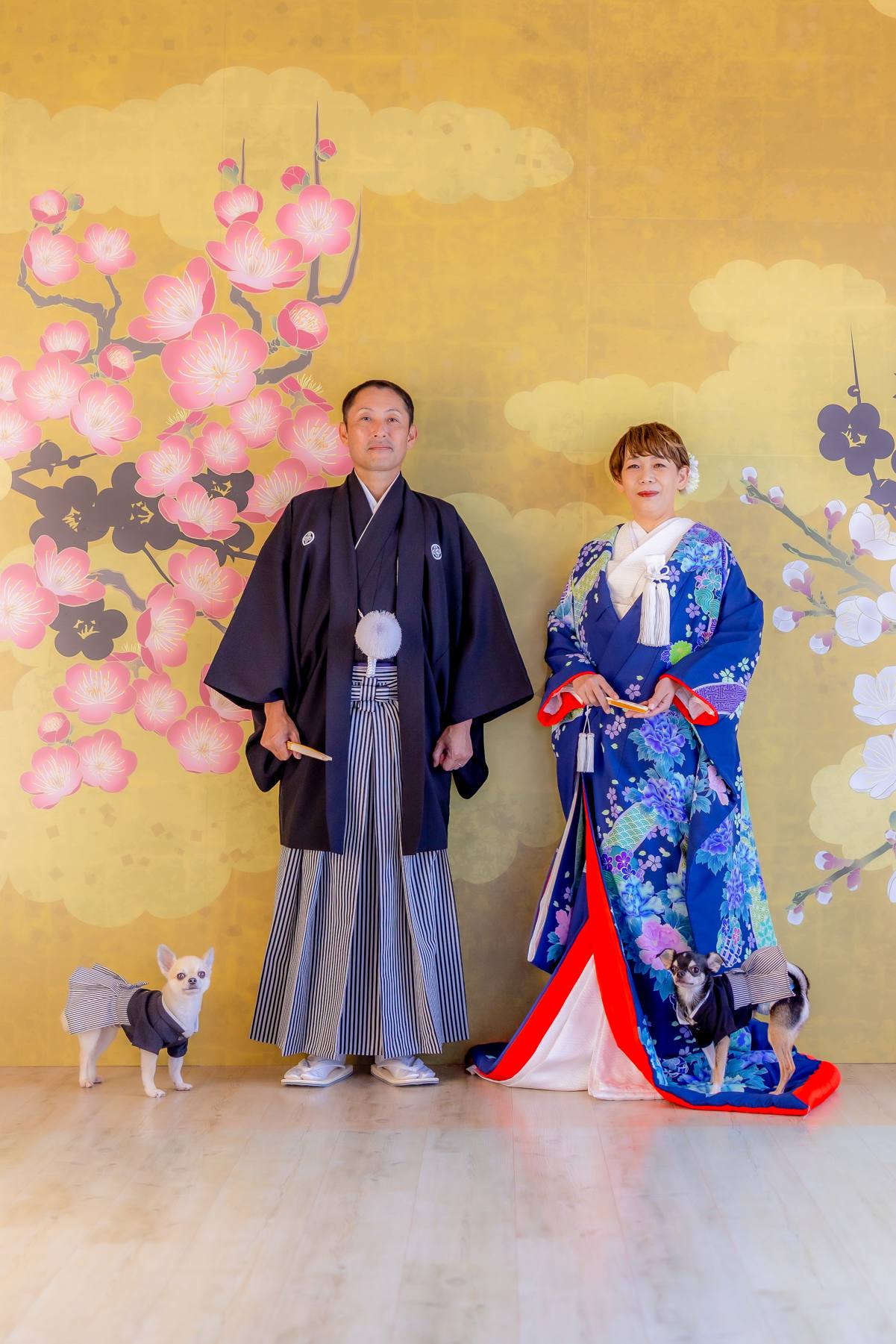宮崎スタジオで和装洋装フォトウェディング✨愛犬たちと共に🐶