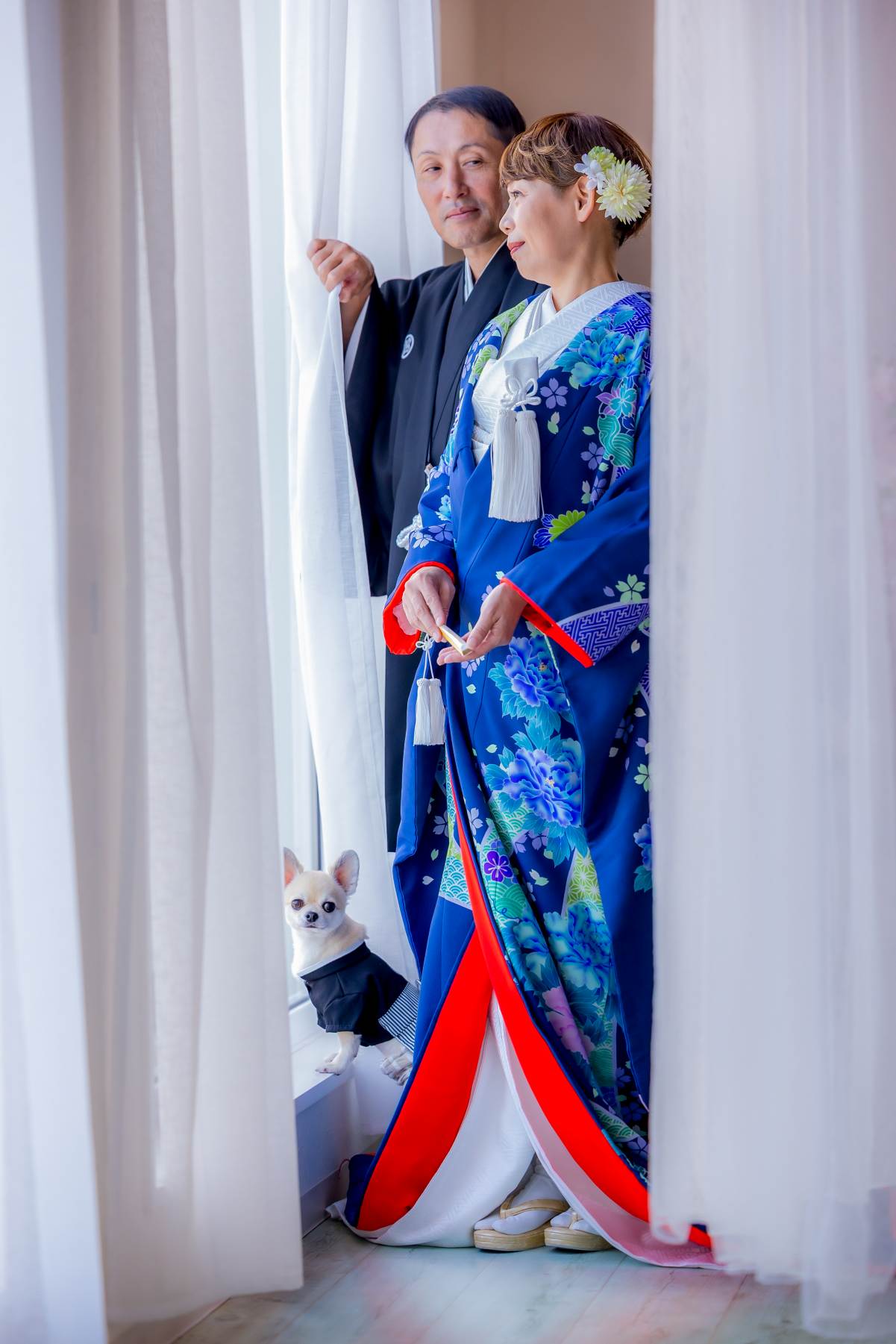 宮崎スタジオで和装洋装フォトウェディング✨愛犬たちと共に🐶