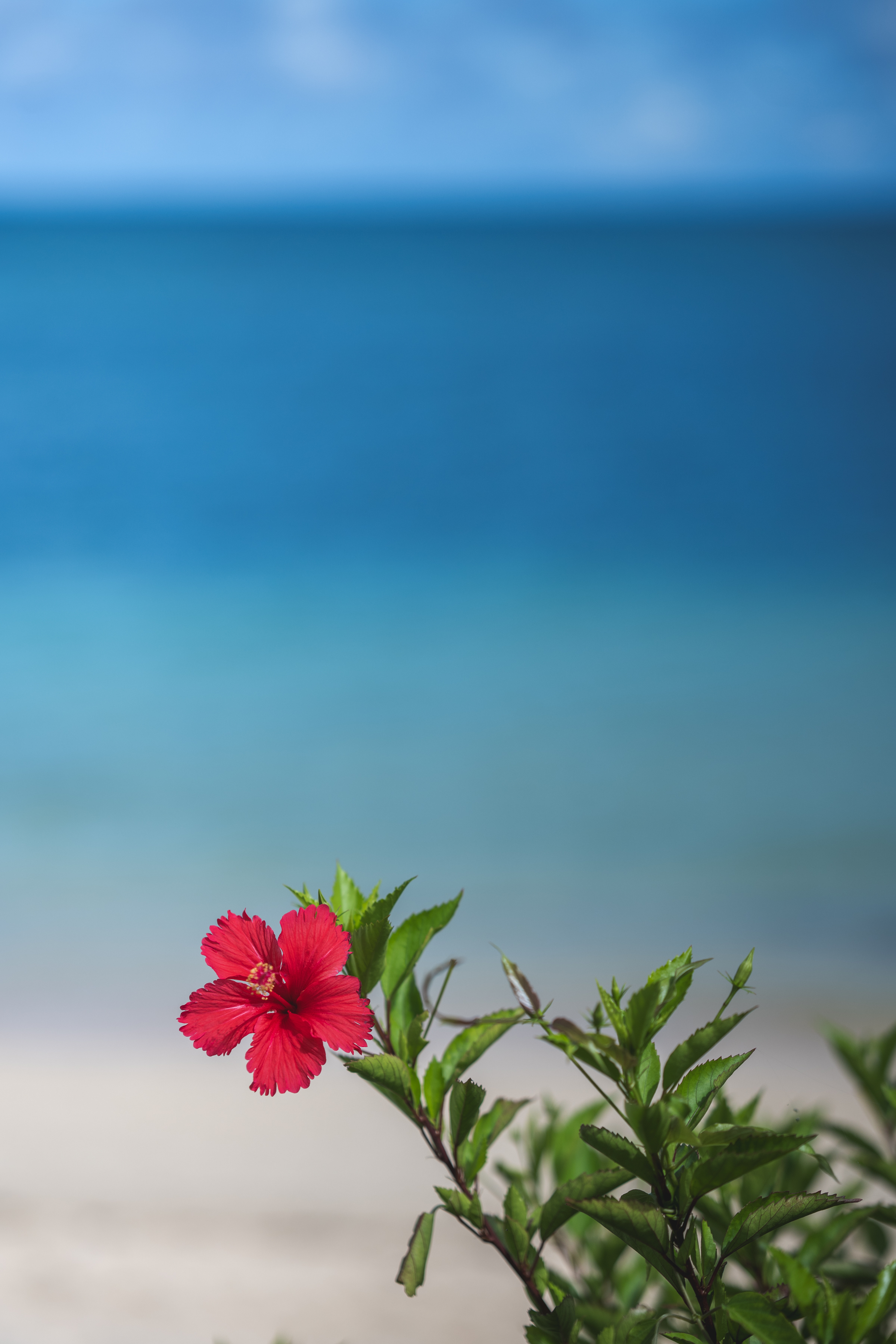 ～広大なコバルトブルーに包まれて～　撮影の魅力をお届け致します！！！