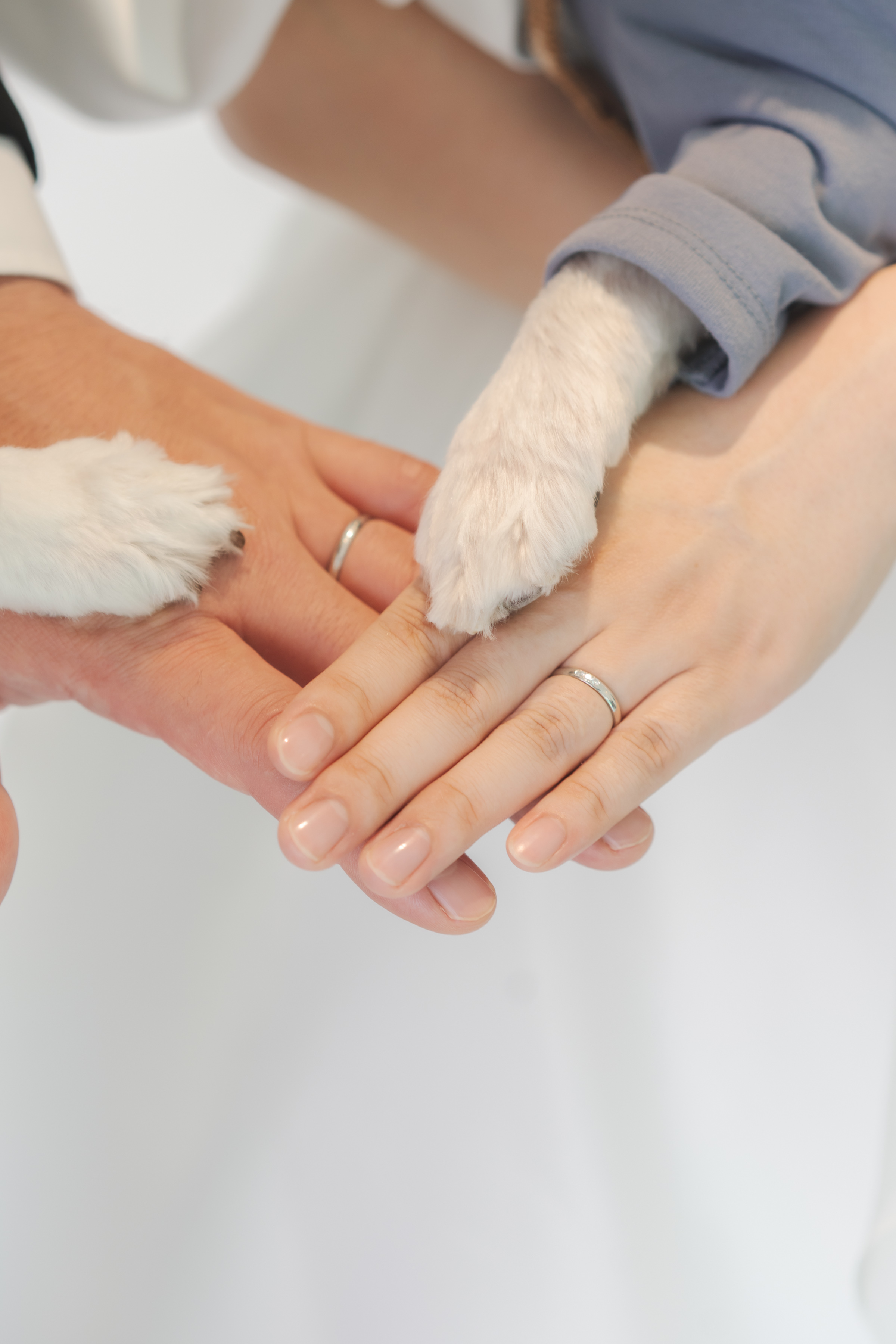 マタニティ×和装×洋装×ペット×家族=最高のフォトウエディング♡