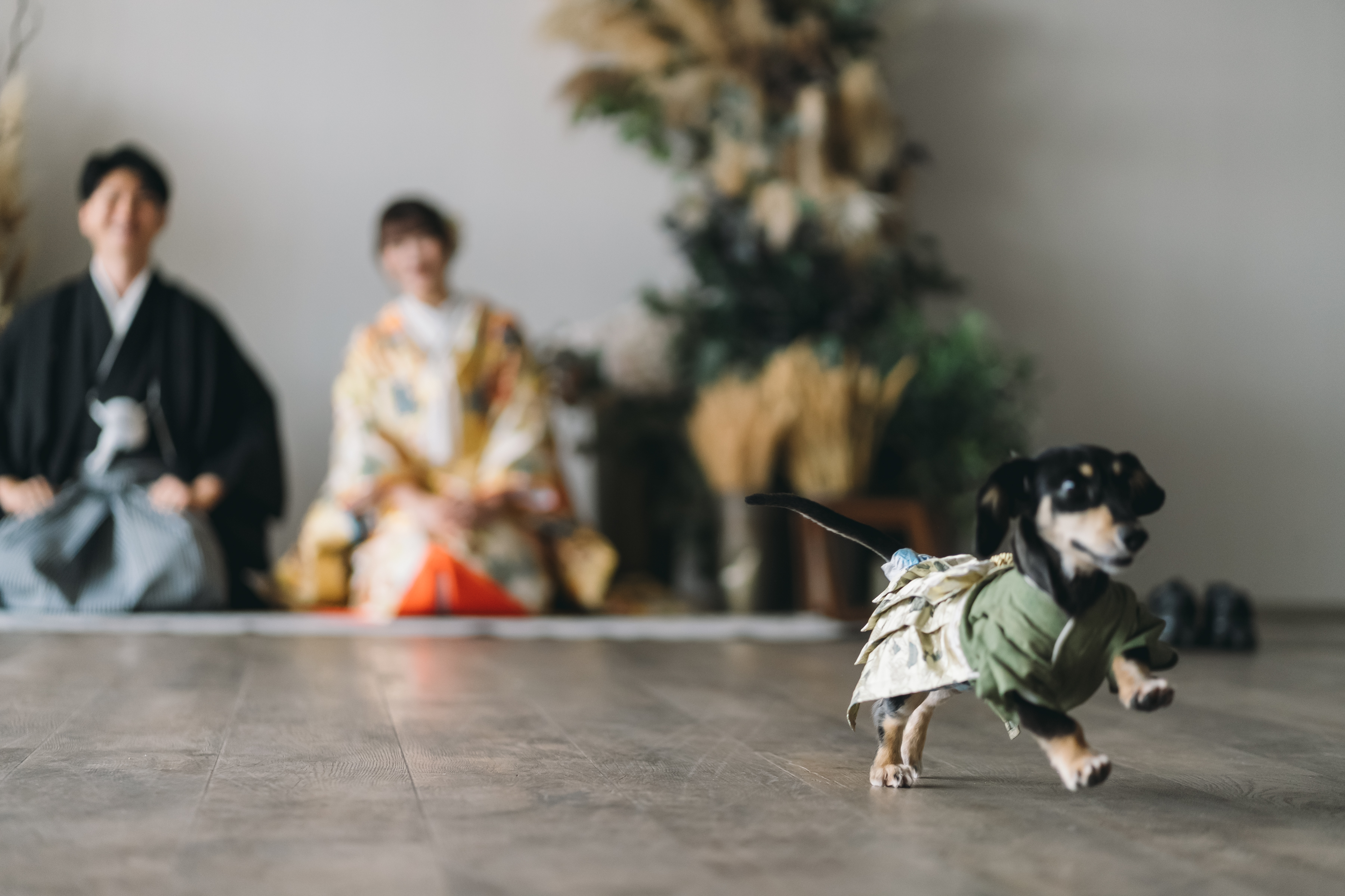 我が子のわんちゃんと一緒にフォトウエディング！！