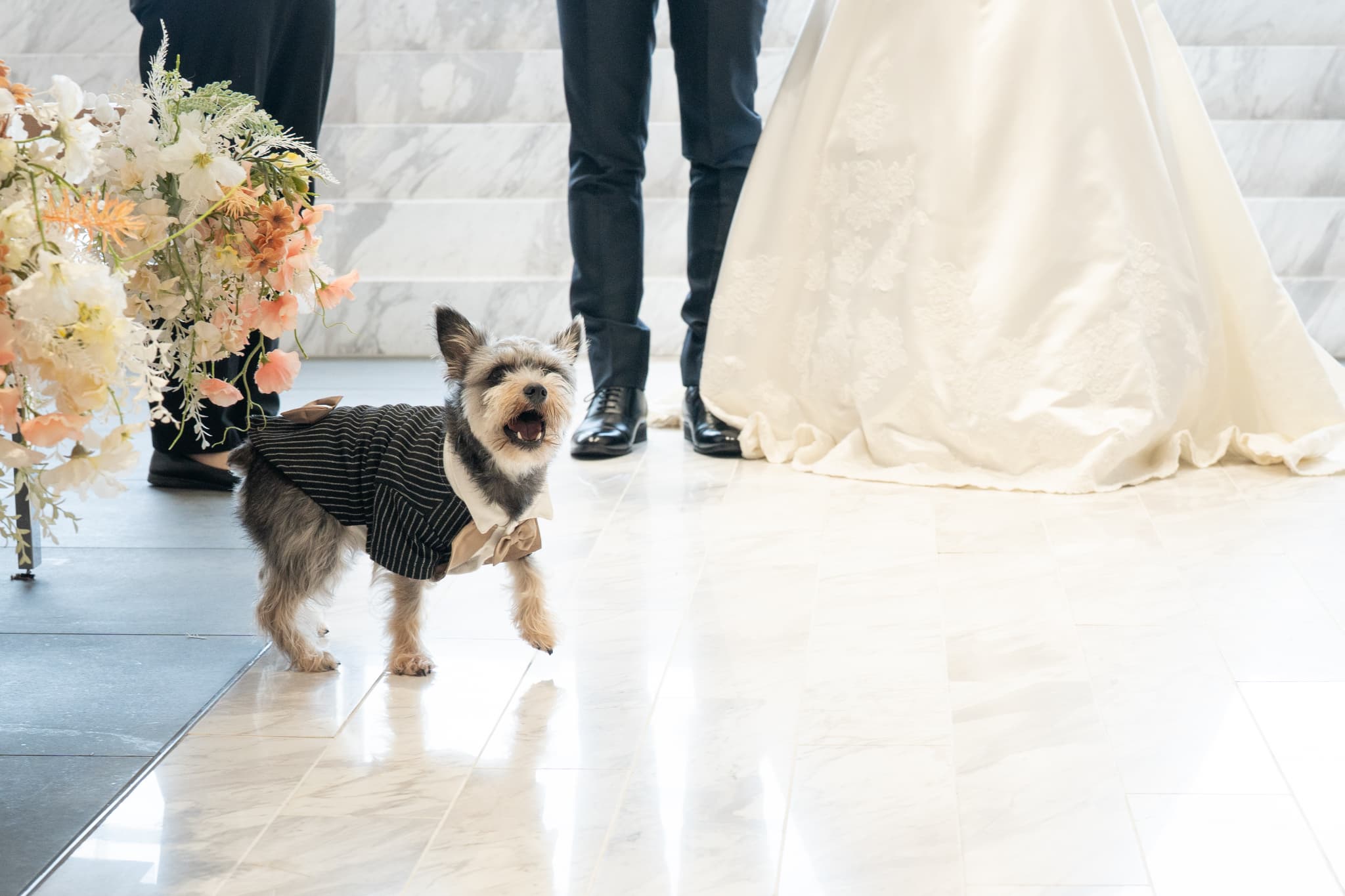 愛犬も大切なご家族。　一緒に迎える、かけがえのない結婚式