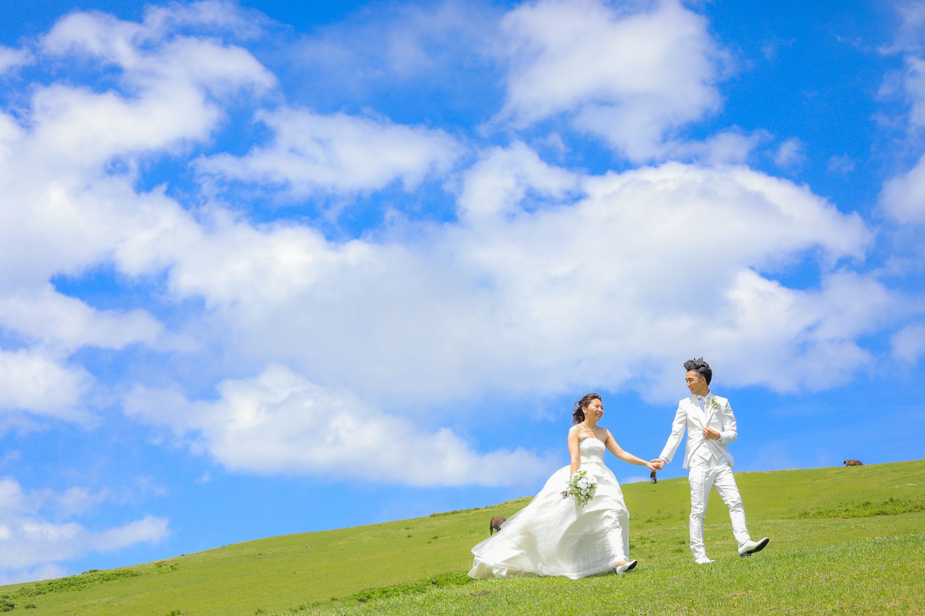 宮崎ロケーションフォト・都井岬~野生馬が彩る絶景~?