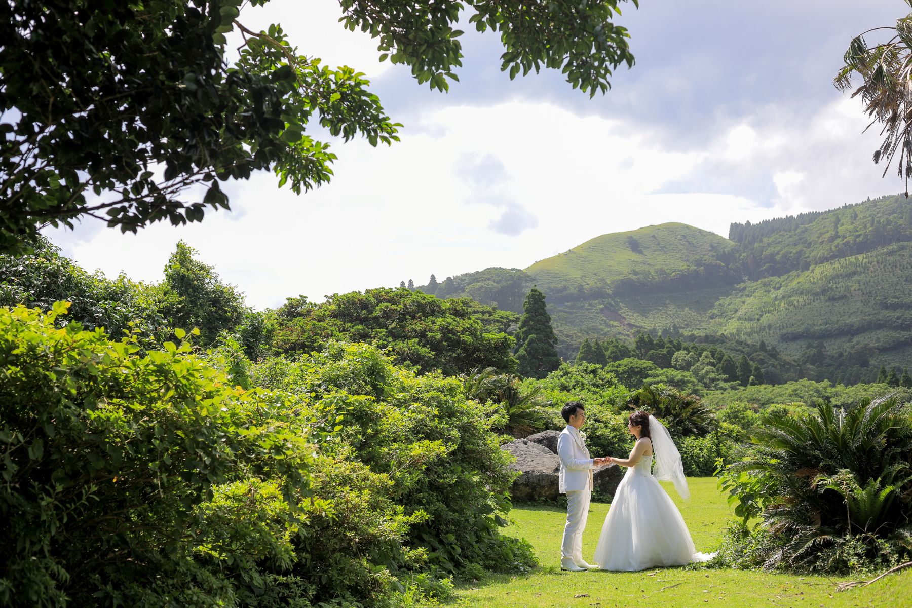 宮崎ロケーションフォト・都井岬~野生馬が彩る絶景~?
