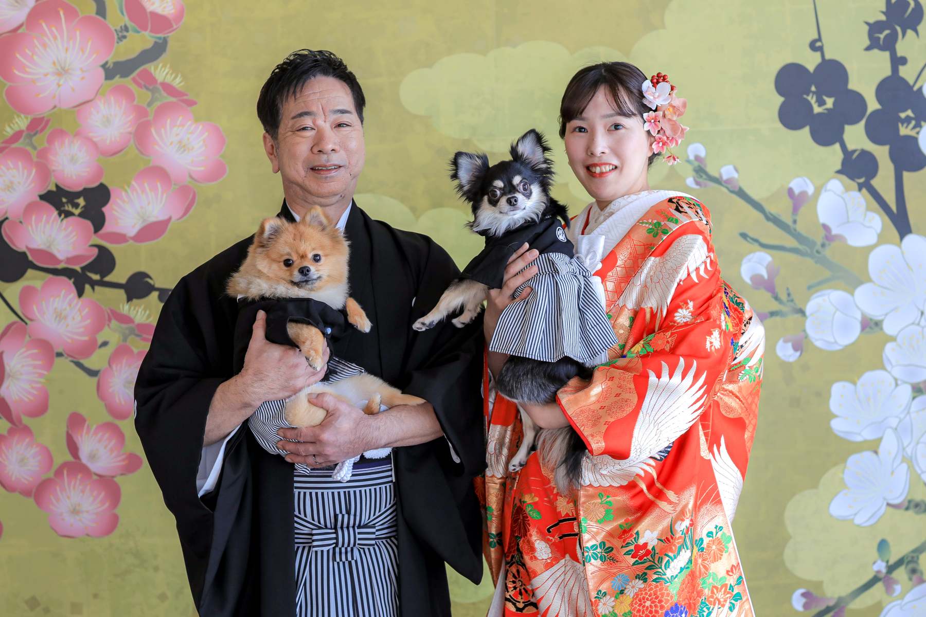 宮崎スタジオで和装と洋装ロケーション撮影🐶part,1